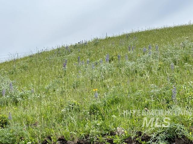 000 American Ridge Rd (Parcel 2), Kendrick, Idaho 83537, Land For Sale, Price $225,000,MLS 98988562