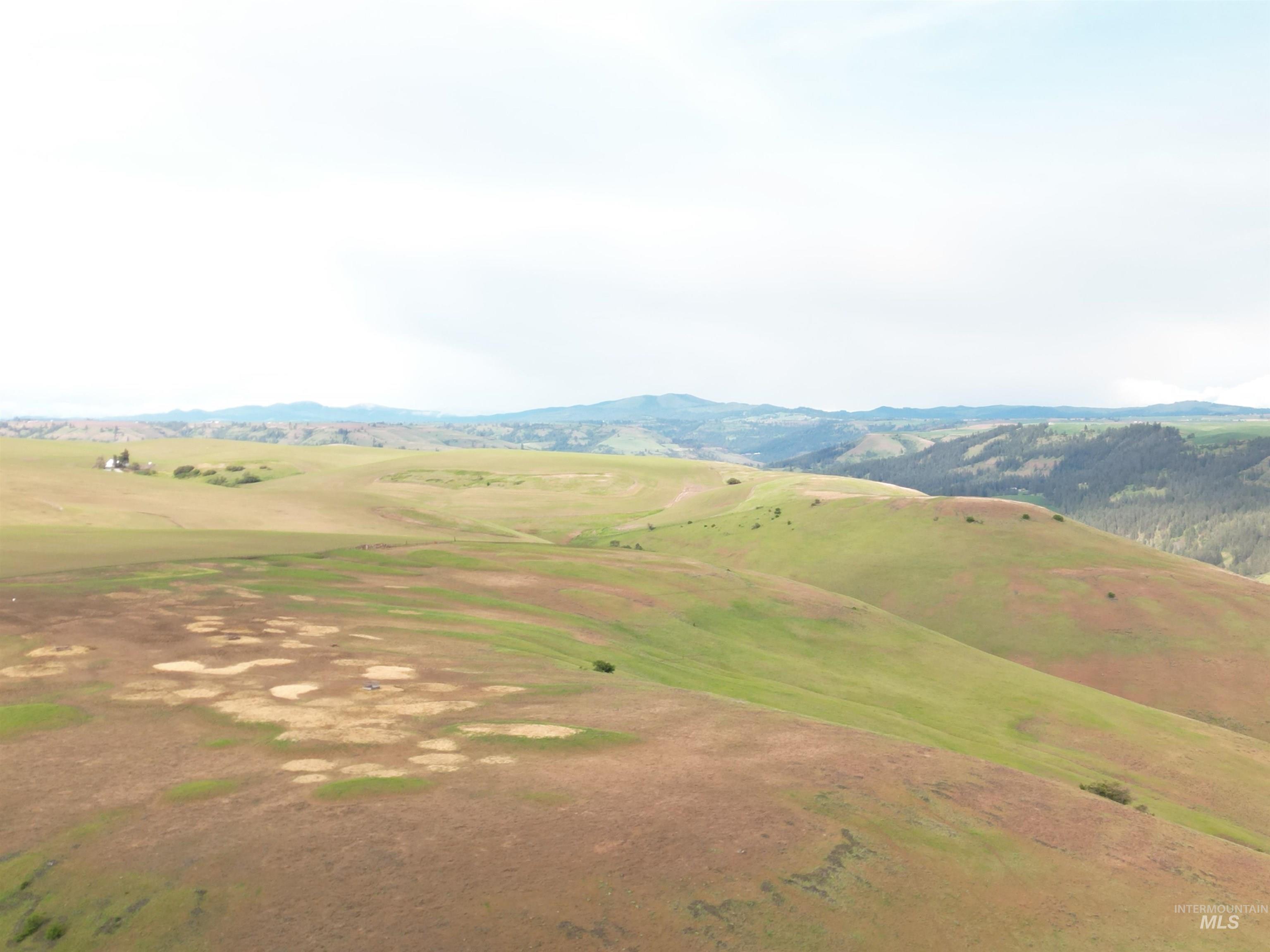 000 American Ridge Rd (Parcel 3), Kendrick, Idaho 83537, Land For Sale, Price $365,000,MLS 98988563