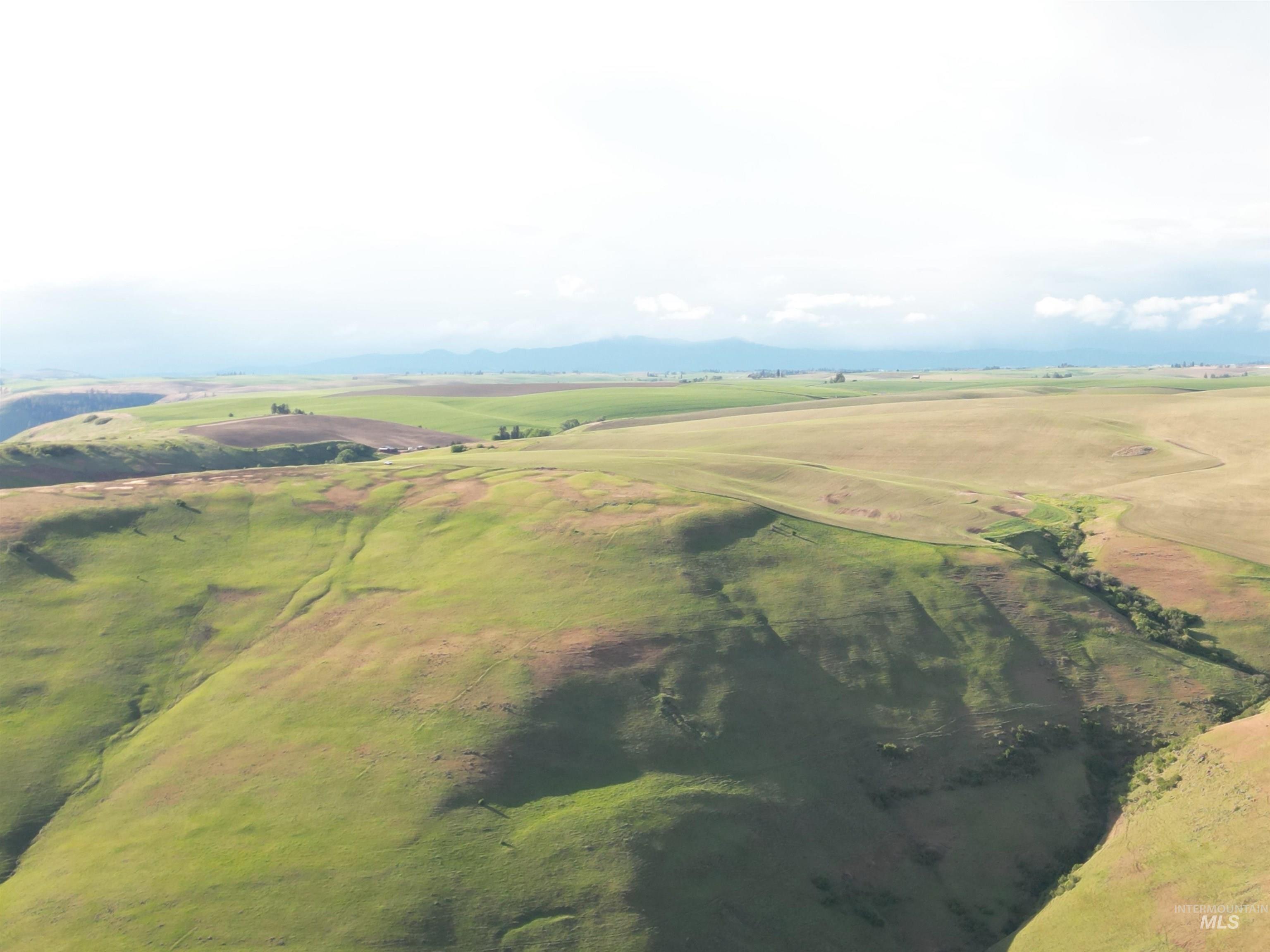 000 American Ridge Rd (Parcel 4), Kendrick, Idaho 83537, Land For Sale, Price $435,000,MLS 98988564