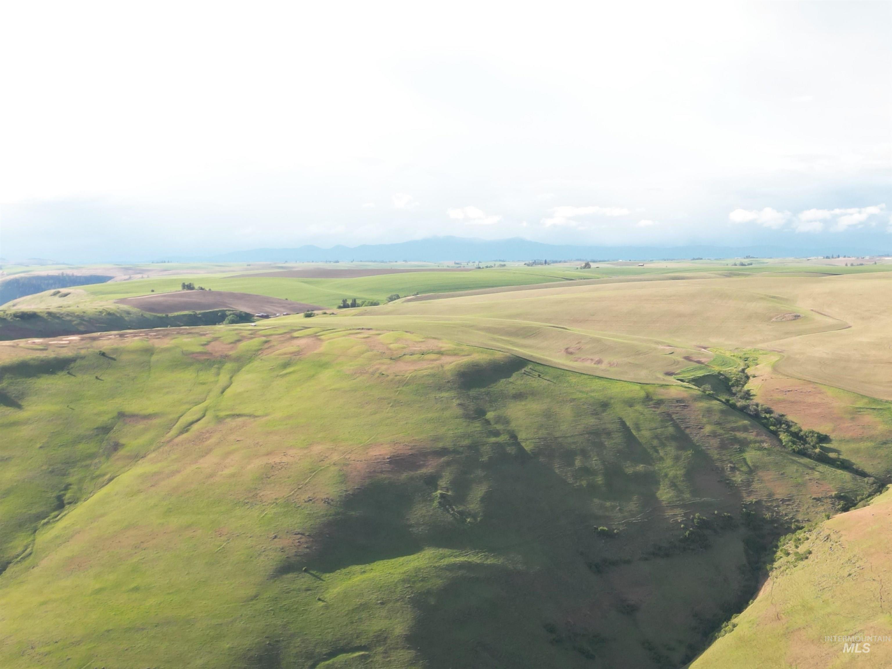000 American Ridge Rd (Parcel 4), Kendrick, Idaho 83537, Land For Sale, Price $435,000,MLS 98988564