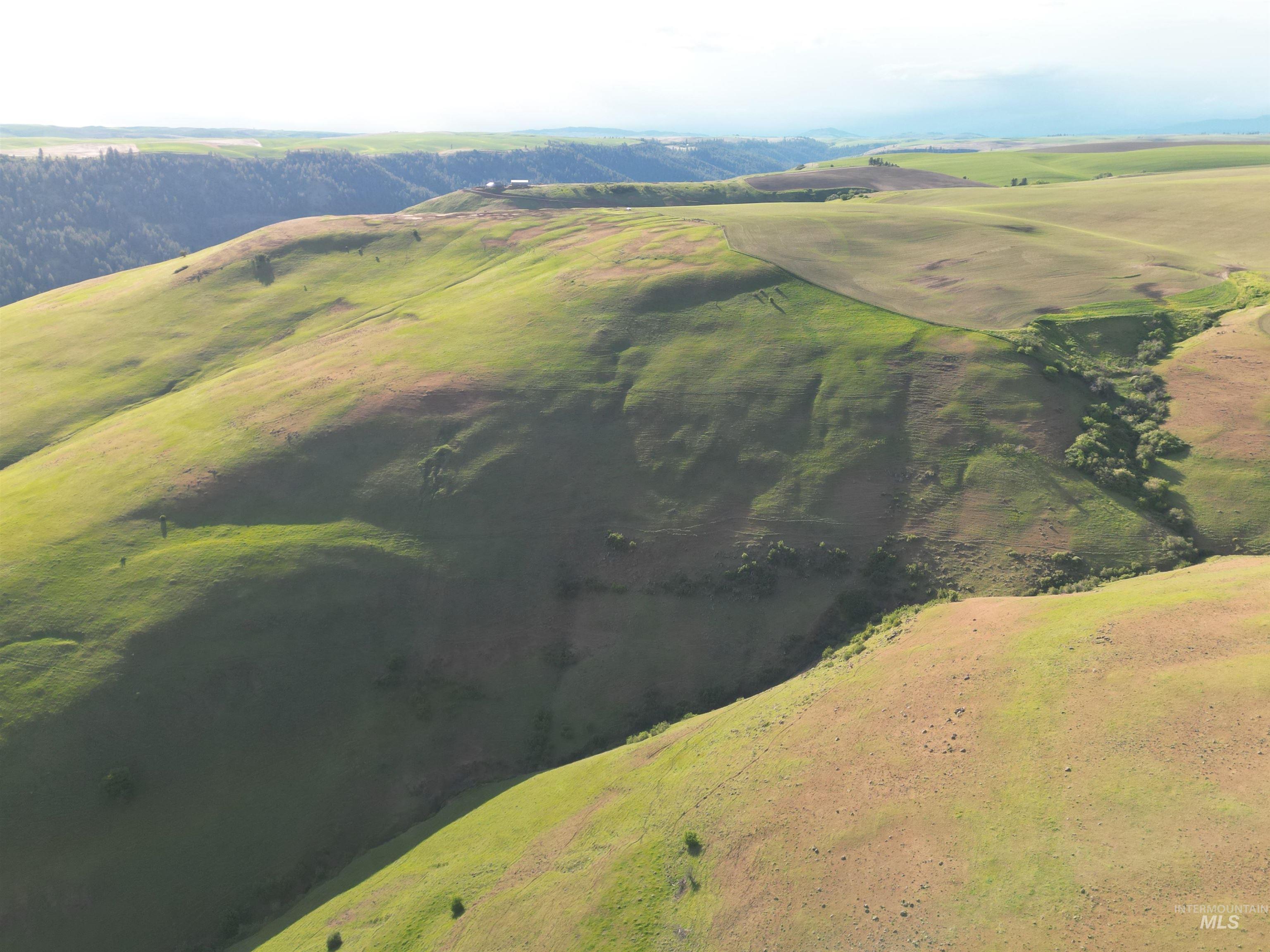 000 American Ridge Rd (Parcel 4), Kendrick, Idaho 83537, Land For Sale, Price $435,000,MLS 98988564