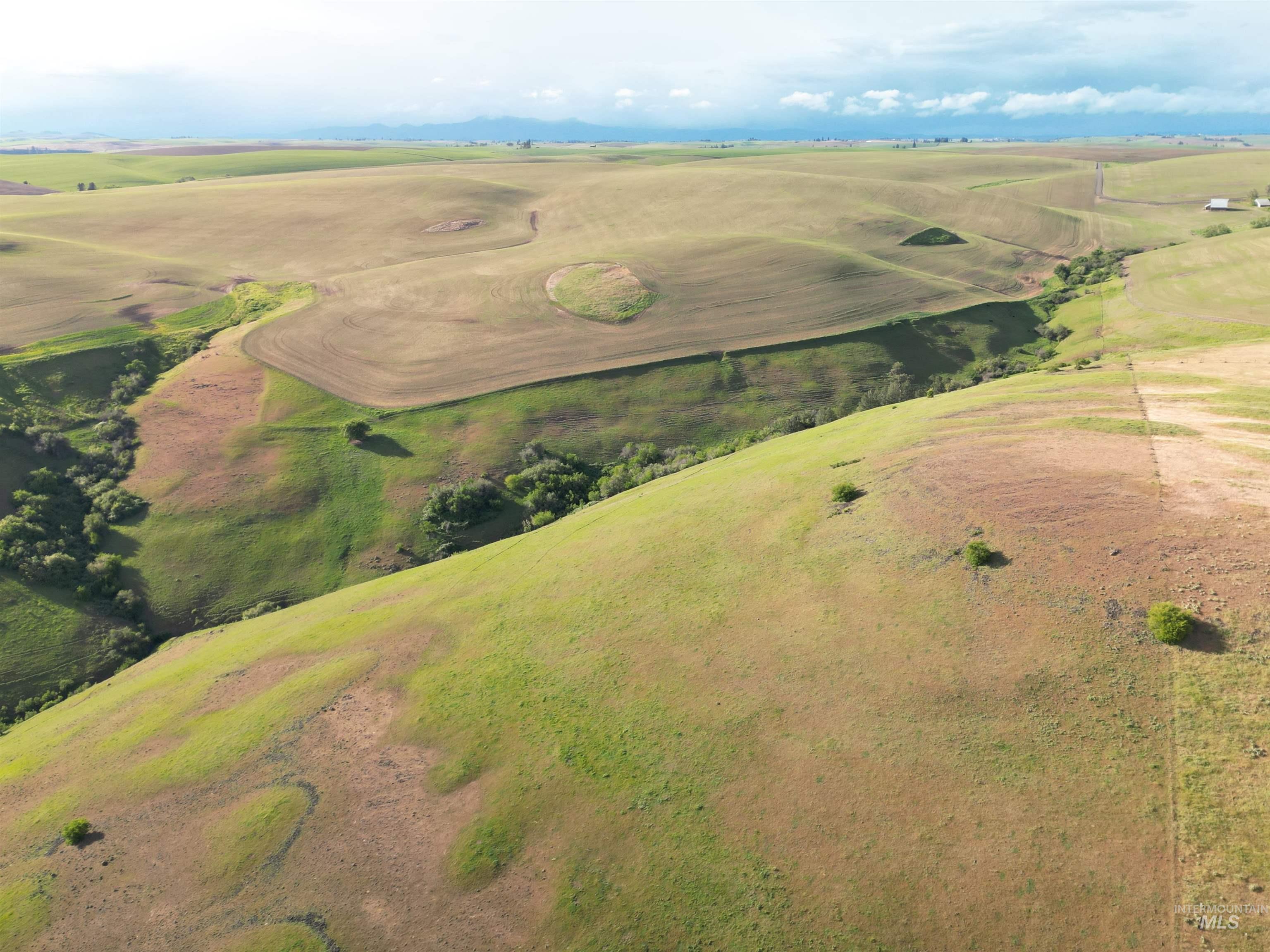000 American Ridge Rd (Parcel 4), Kendrick, Idaho 83537, Land For Sale, Price $435,000,MLS 98988564