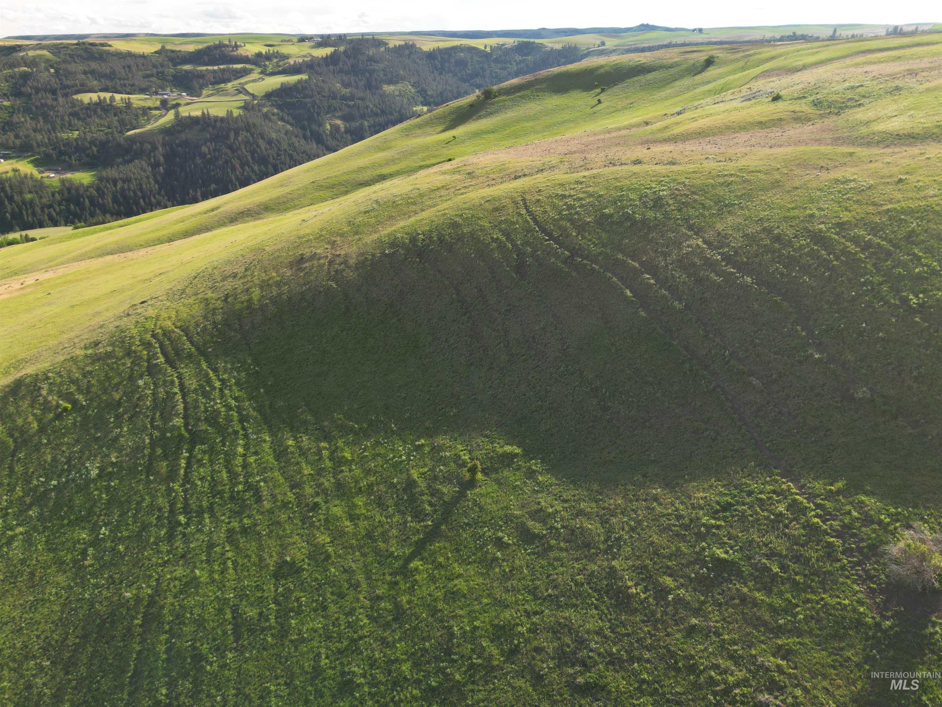 000 American Ridge Rd (Parcel 4), Kendrick, Idaho 83537, Land For Sale, Price $435,000,MLS 98988564