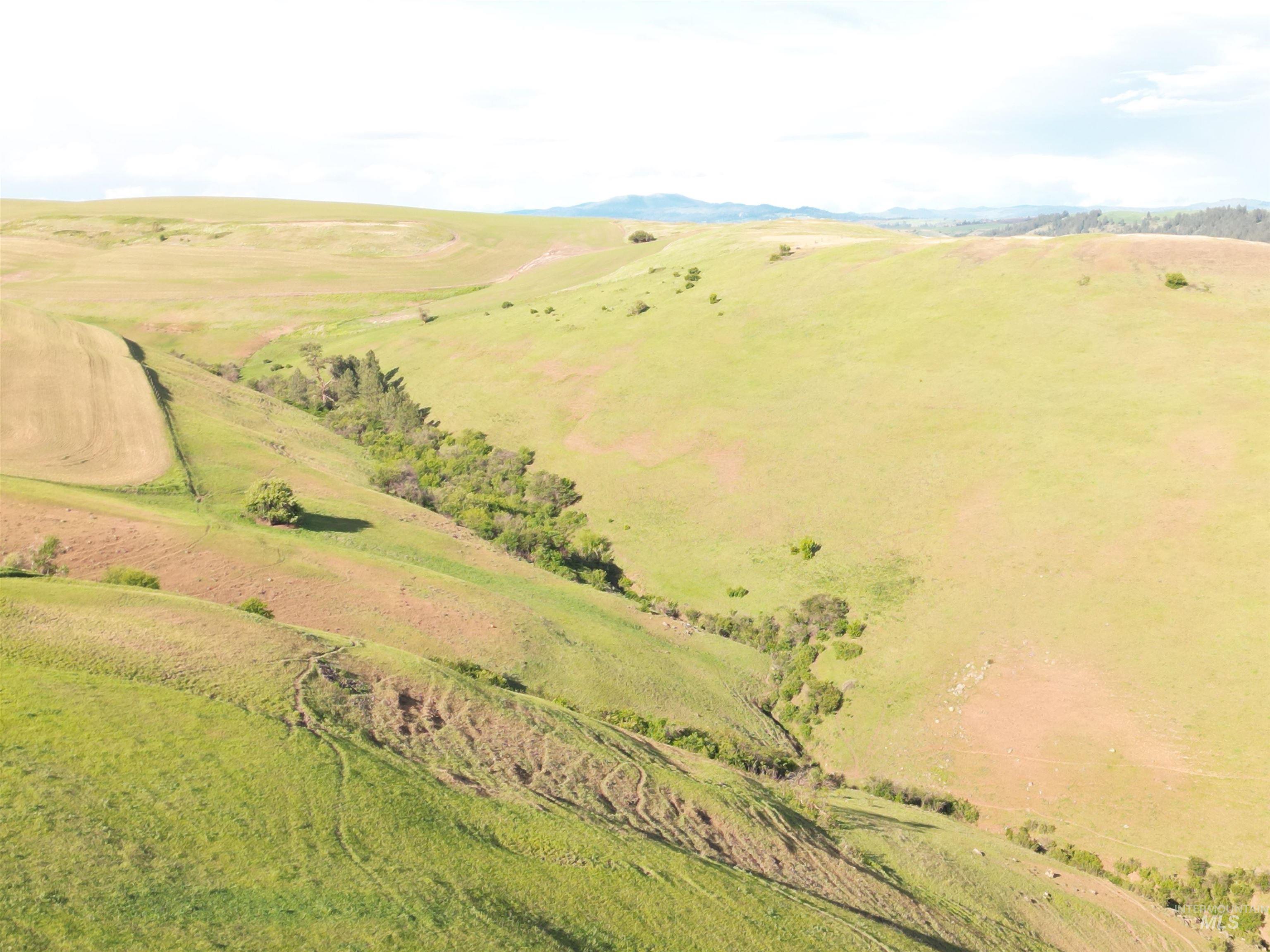 000 American Ridge Rd (Parcel 4), Kendrick, Idaho 83537, Land For Sale, Price $435,000,MLS 98988564