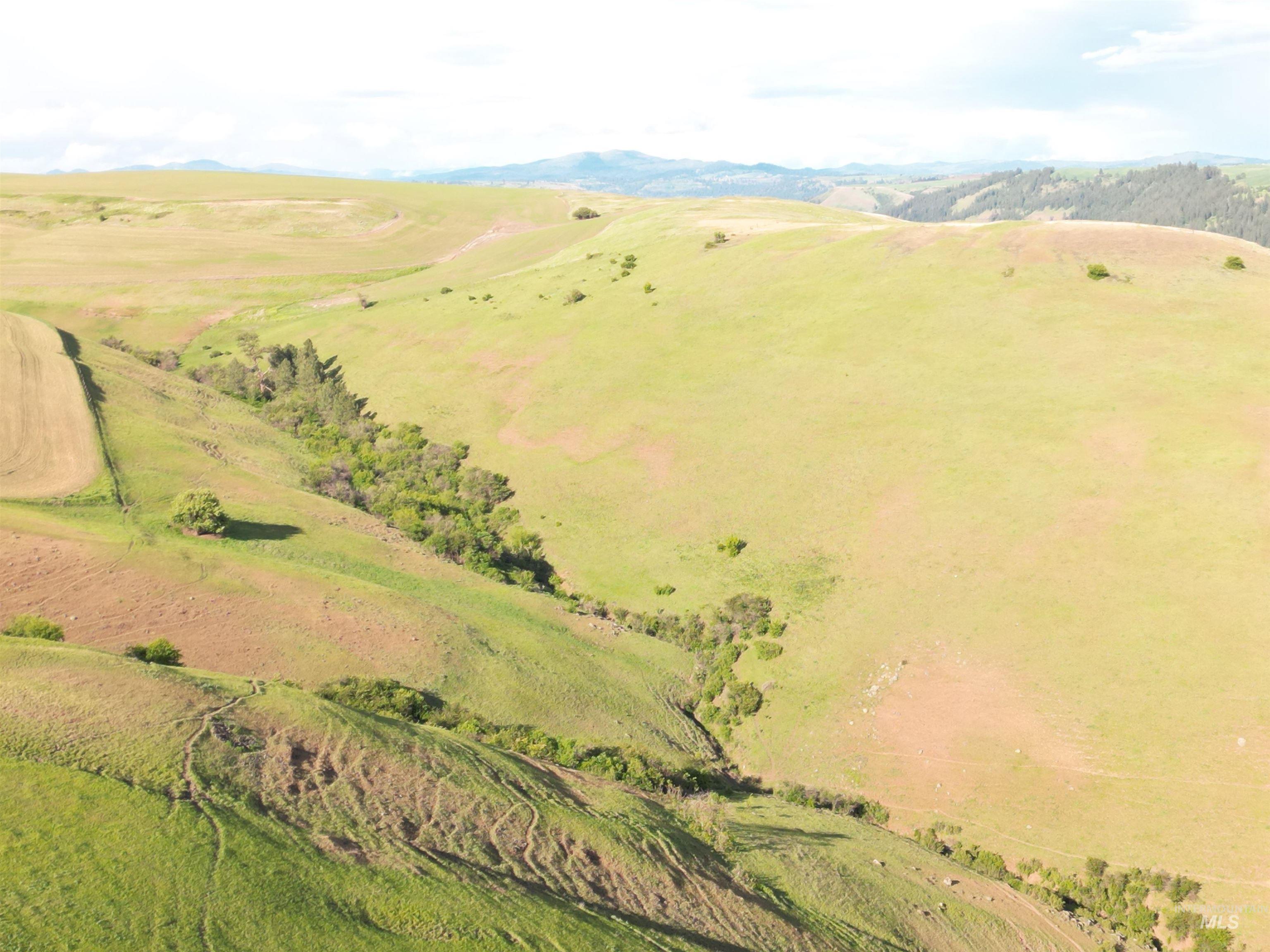 000 American Ridge Rd (Parcel 4), Kendrick, Idaho 83537, Land For Sale, Price $435,000,MLS 98988564