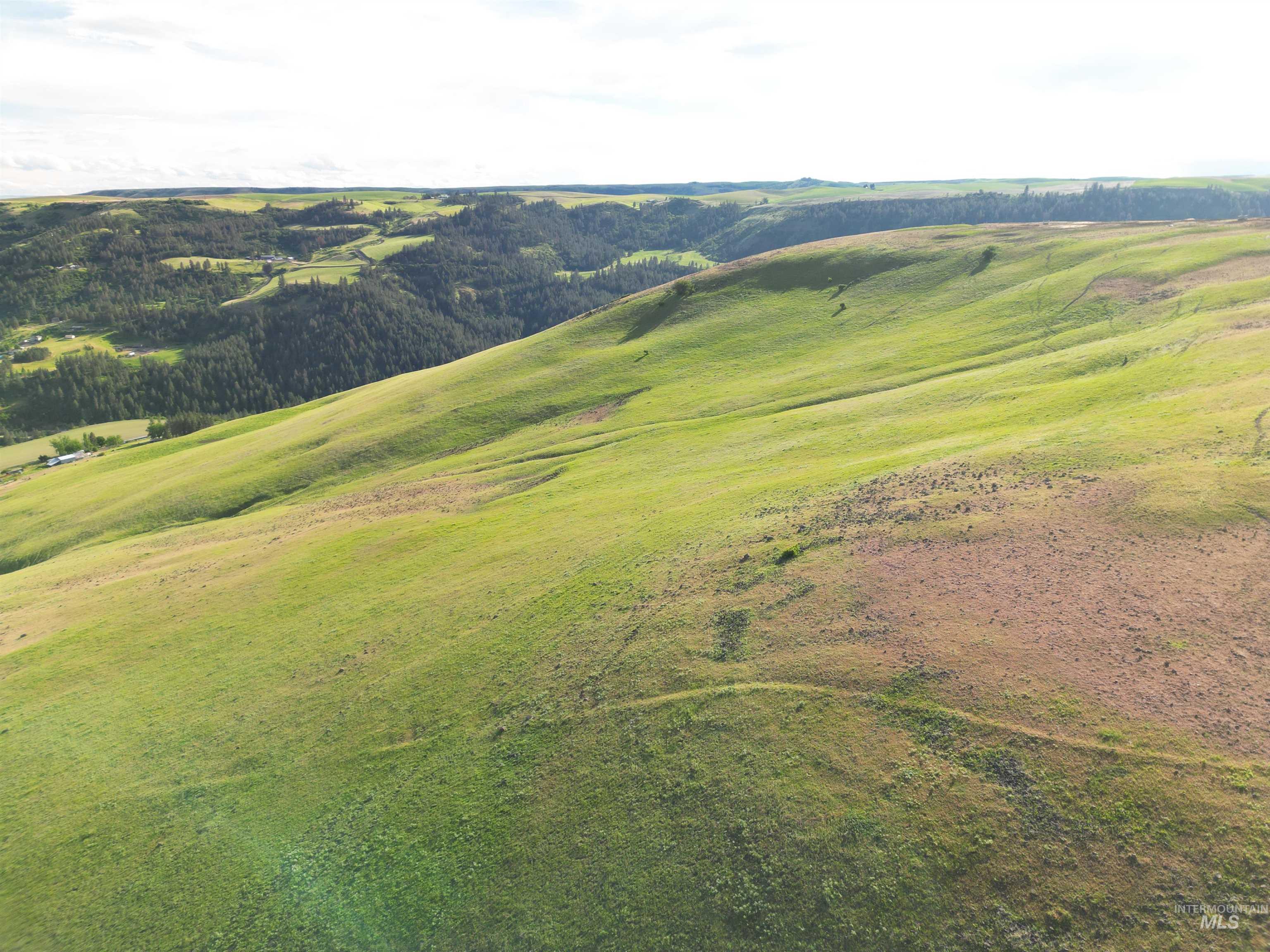 000 American Ridge Rd (Parcel 4), Kendrick, Idaho 83537, Land For Sale, Price $435,000,MLS 98988564