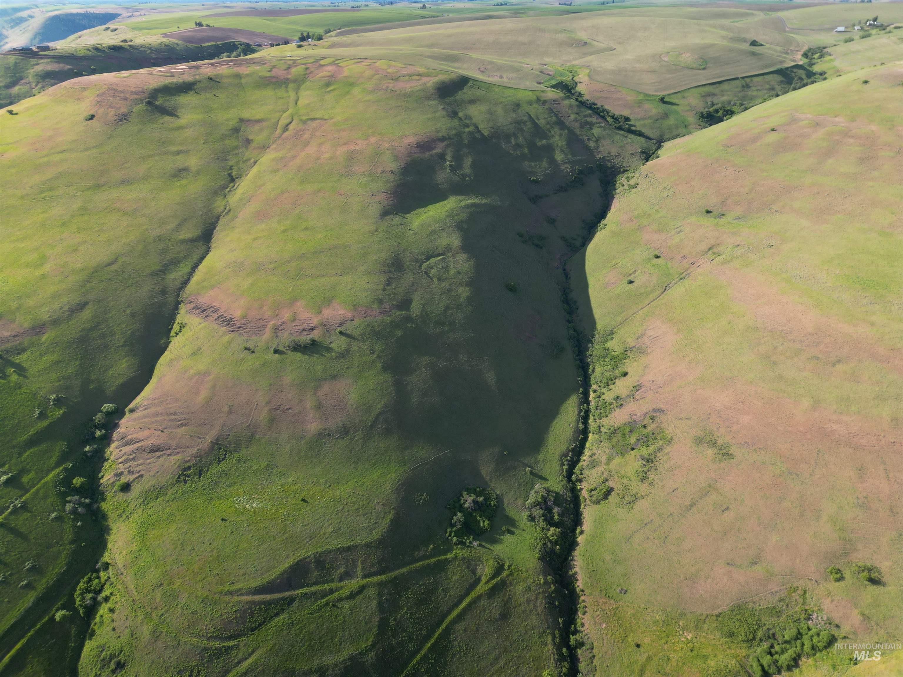 000 American Ridge Rd (Parcel 4), Kendrick, Idaho 83537, Land For Sale, Price $435,000,MLS 98988564