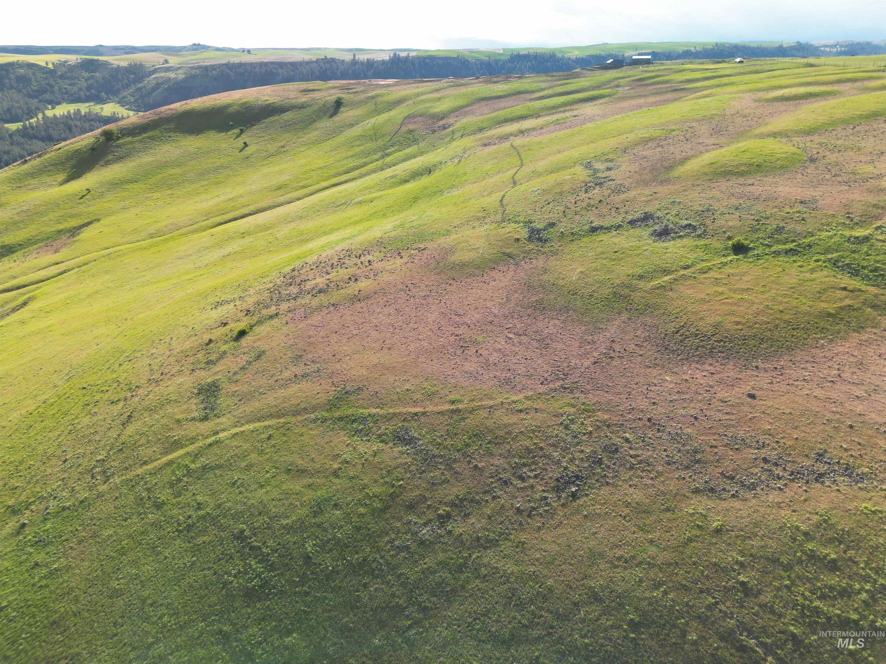 000 American Ridge Rd (Parcel 4), Kendrick, Idaho 83537, Land For Sale, Price $435,000,MLS 98988564