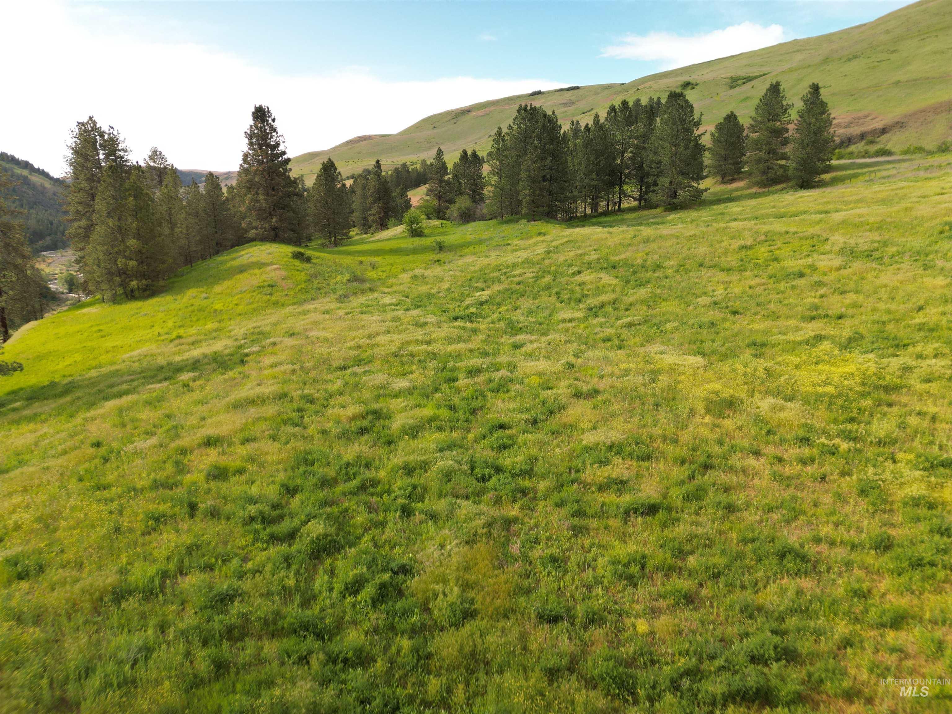 000 American Ridge Rd (Parcel 5), Kendrick, Idaho 83537, Land For Sale, Price $369,000,MLS 98988566