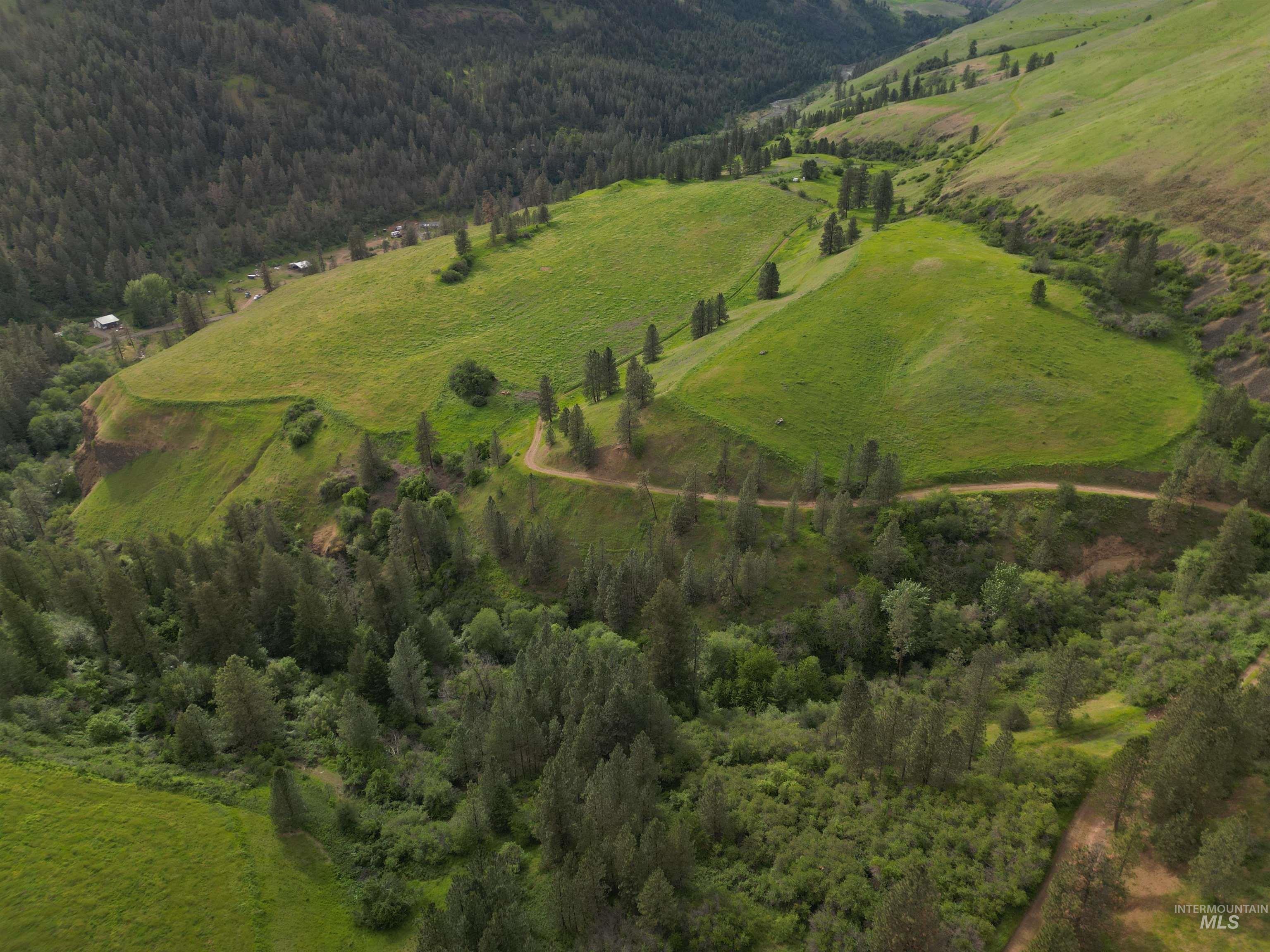 000 American Ridge Rd (Parcel 5), Kendrick, Idaho 83537, Land For Sale, Price $369,000,MLS 98988566