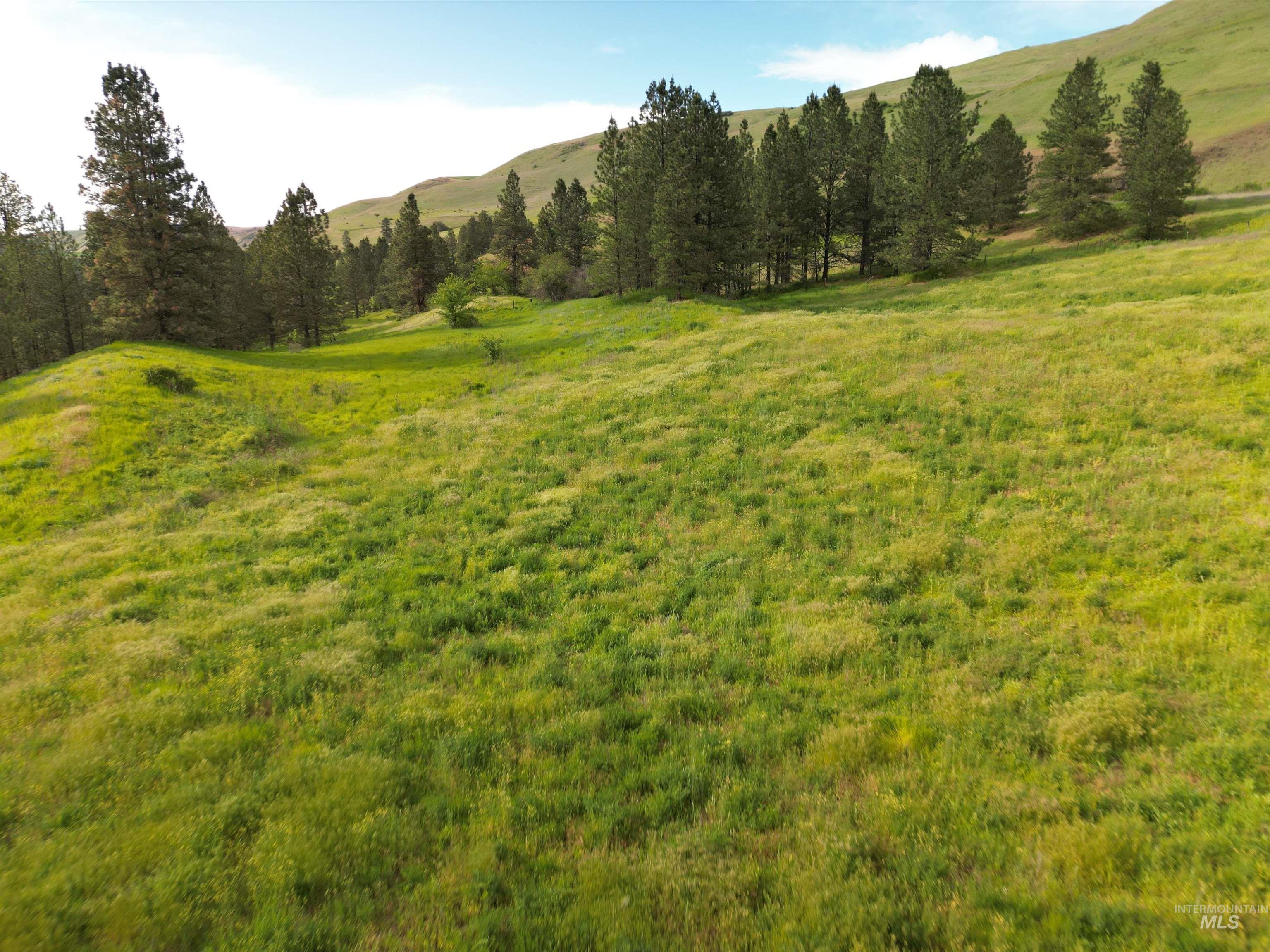 000 American Ridge Rd (Parcel 5), Kendrick, Idaho 83537, Land For Sale, Price $369,000,MLS 98988566
