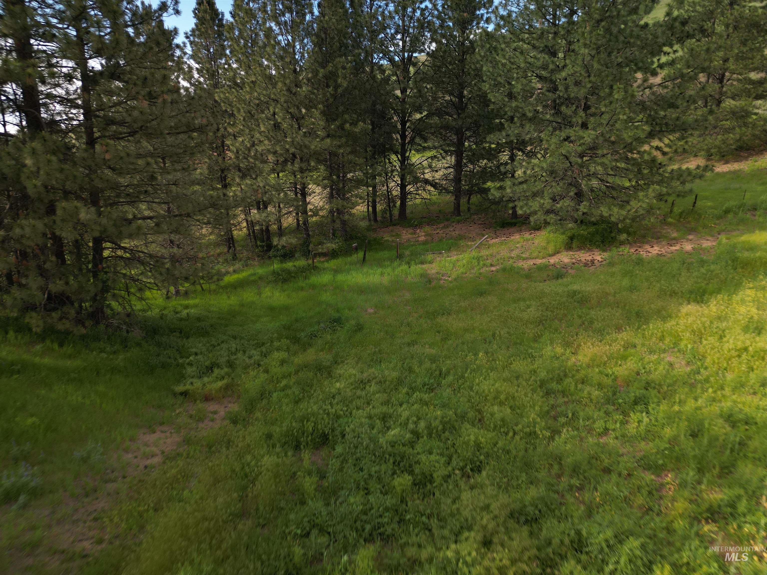 000 American Ridge Rd (Parcel 5), Kendrick, Idaho 83537, Land For Sale, Price $369,000,MLS 98988566