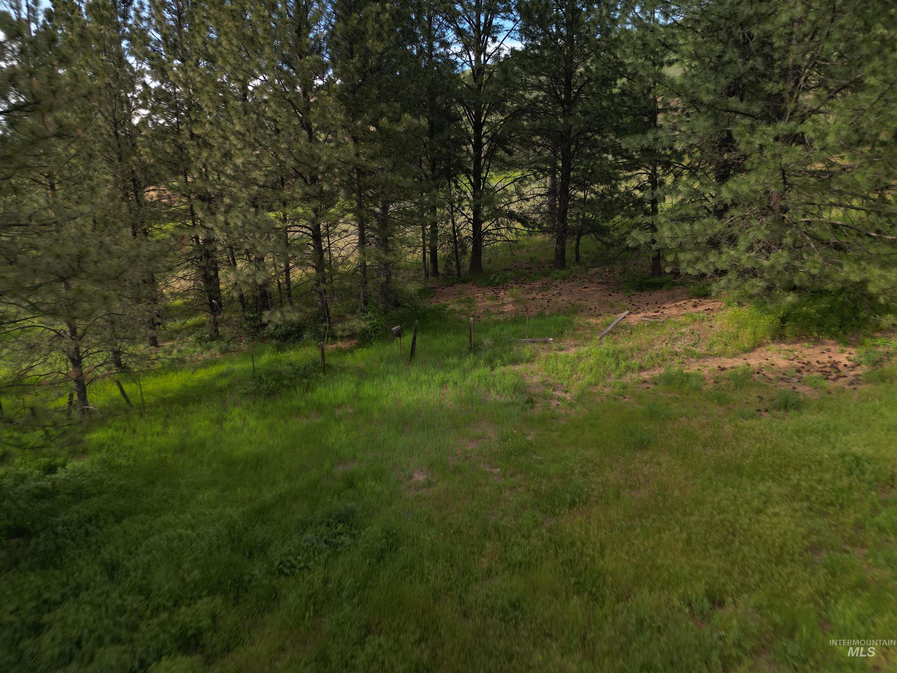 000 American Ridge Rd (Parcel 5), Kendrick, Idaho 83537, Land For Sale, Price $369,000,MLS 98988566