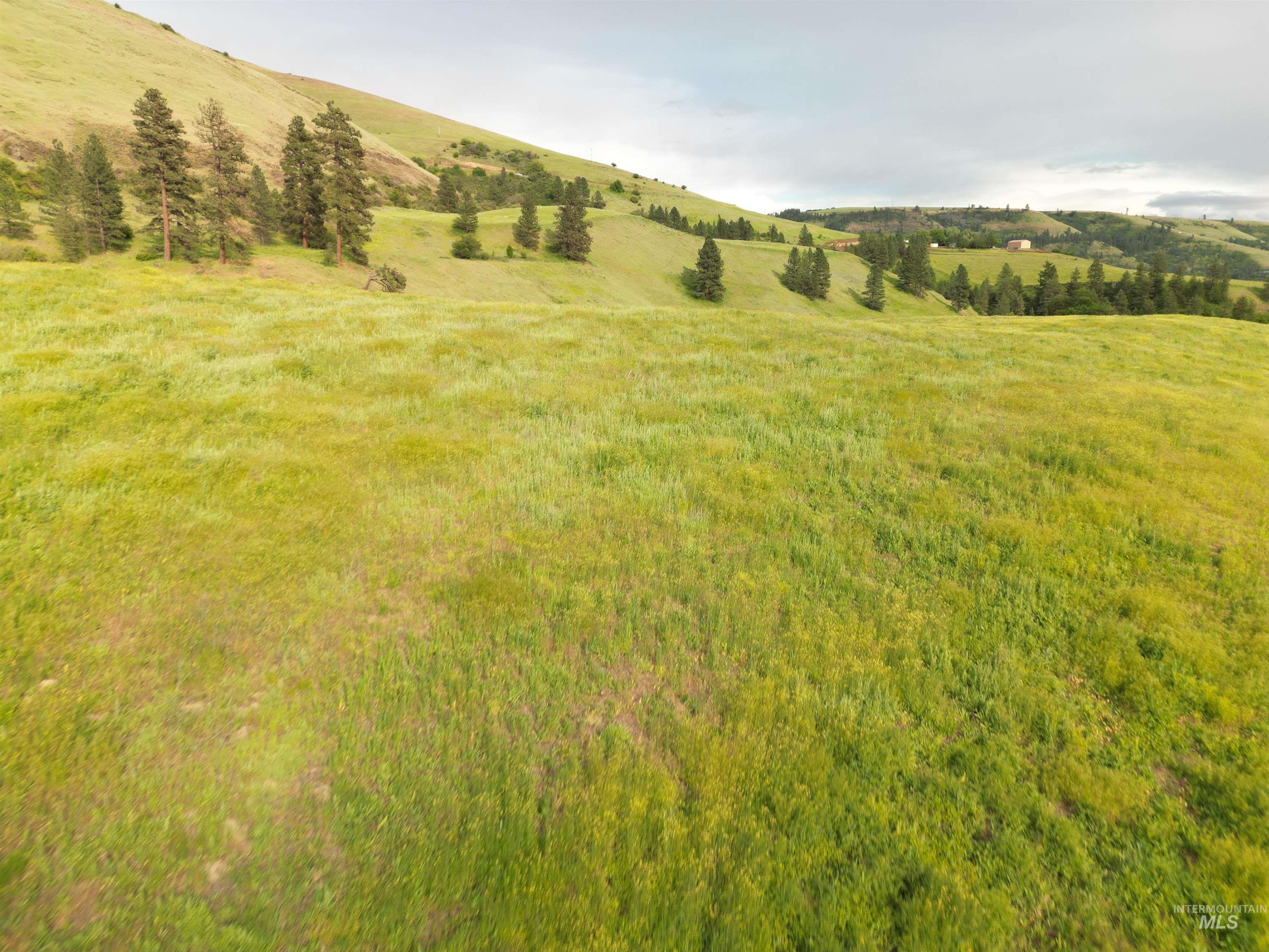 000 American Ridge Rd (Parcel 5), Kendrick, Idaho 83537, Land For Sale, Price $369,000,MLS 98988566