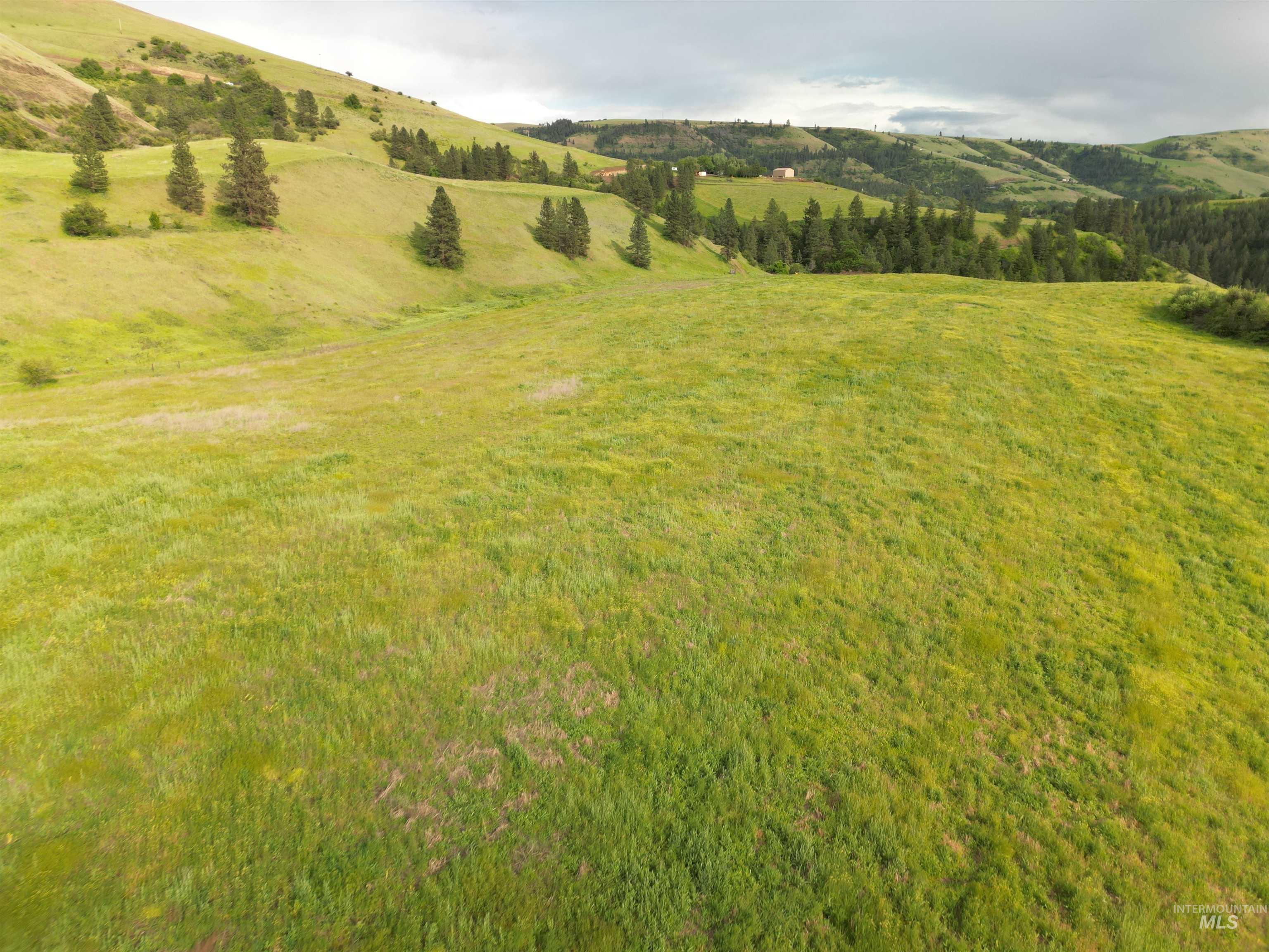 000 American Ridge Rd (Parcel 5), Kendrick, Idaho 83537, Land For Sale, Price $369,000,MLS 98988566