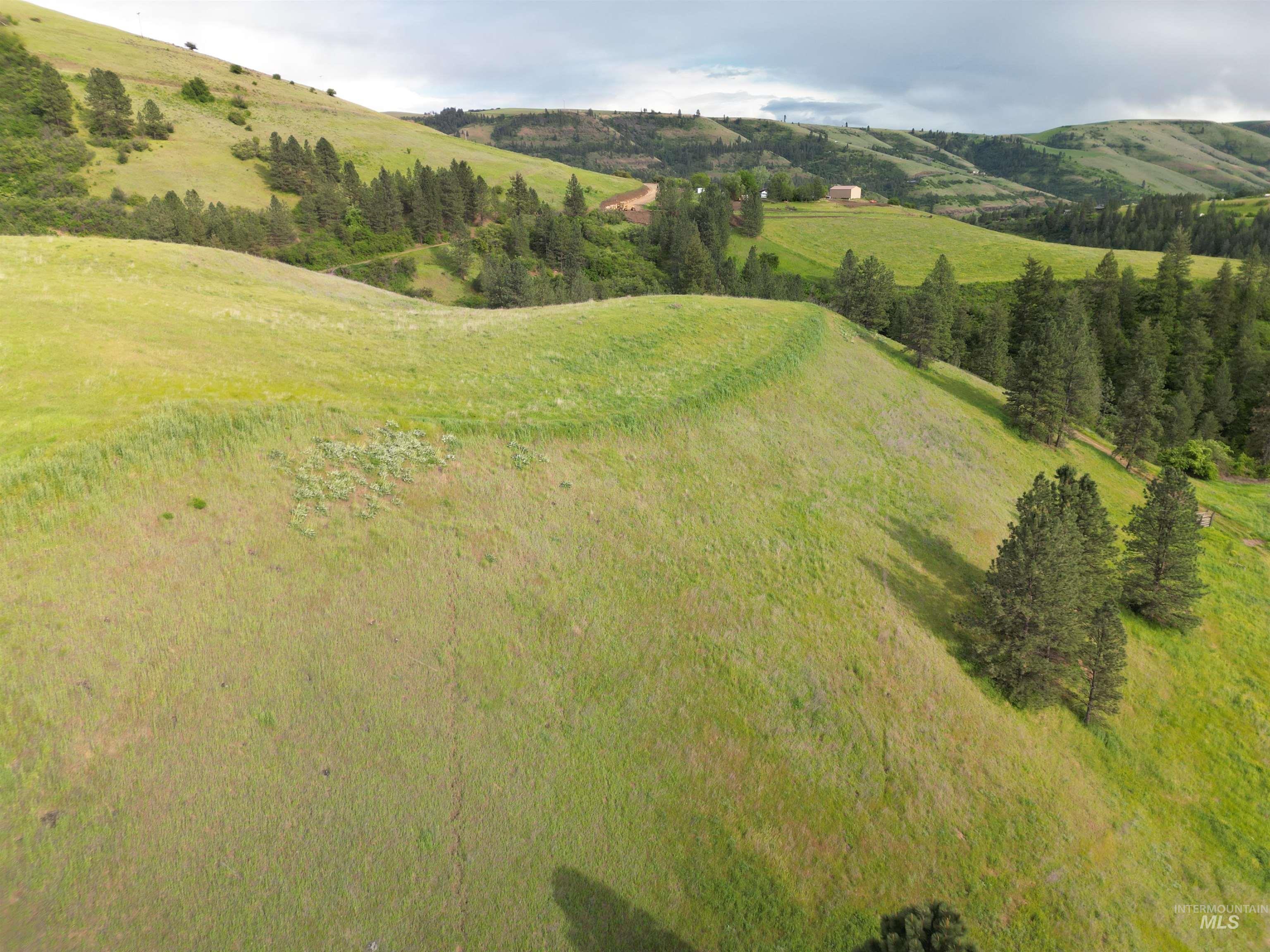 000 American Ridge Rd (Parcel 5), Kendrick, Idaho 83537, Land For Sale, Price $369,000,MLS 98988566