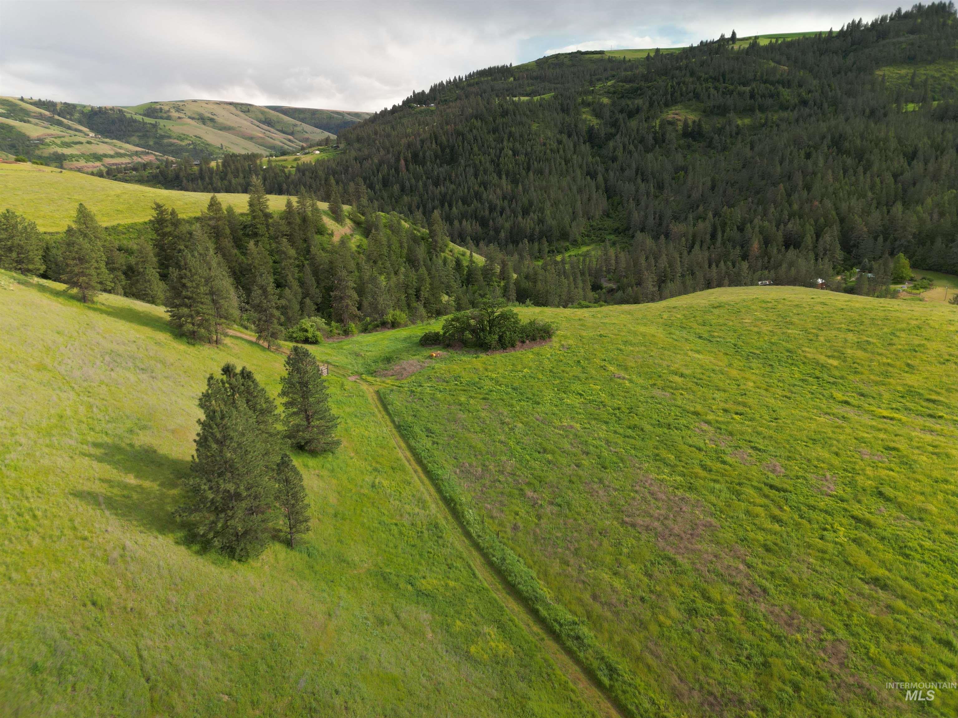 000 American Ridge Rd (Parcel 5), Kendrick, Idaho 83537, Land For Sale, Price $369,000,MLS 98988566