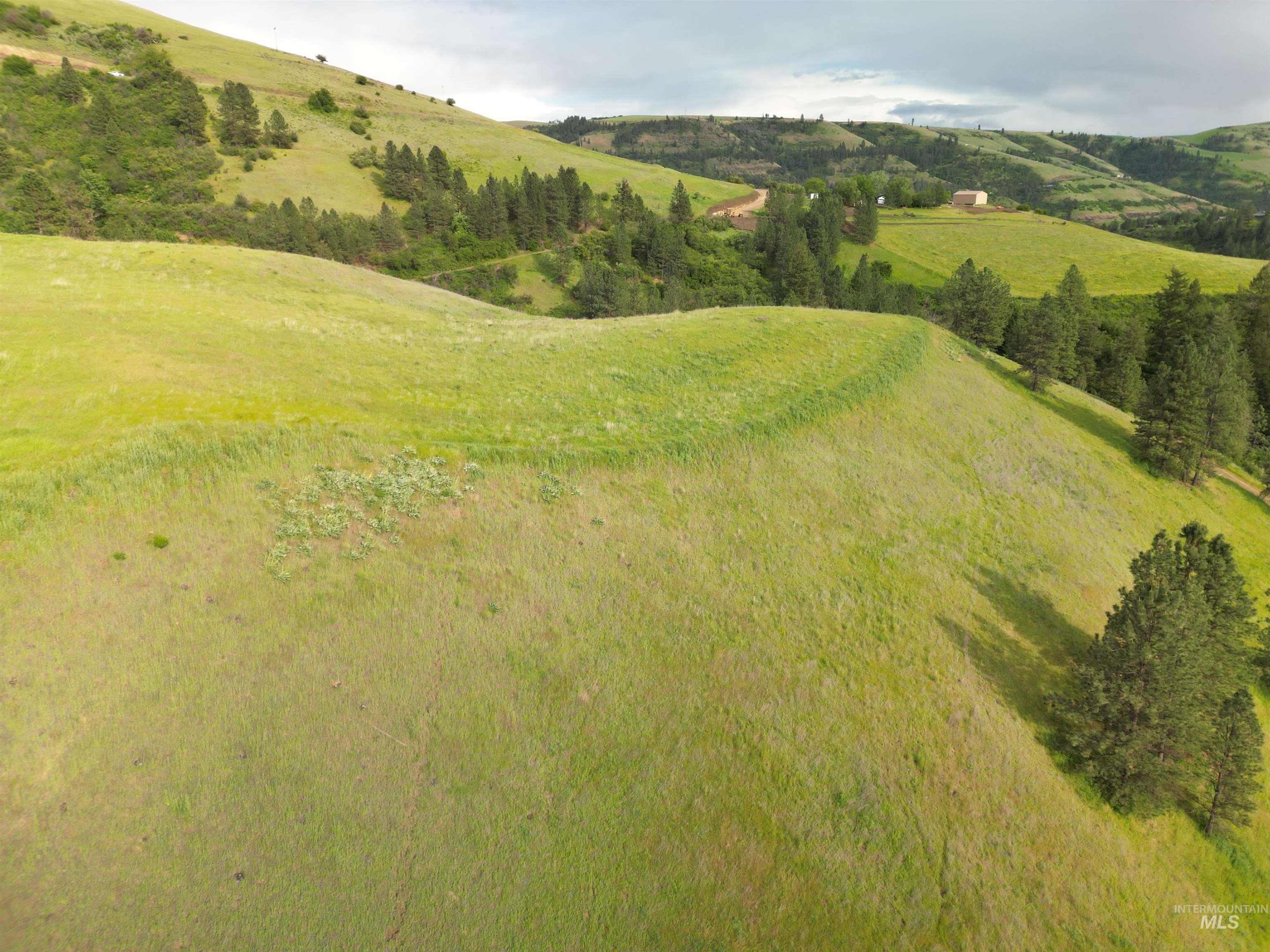000 American Ridge Rd (Parcel 5), Kendrick, Idaho 83537, Land For Sale, Price $369,000,MLS 98988566