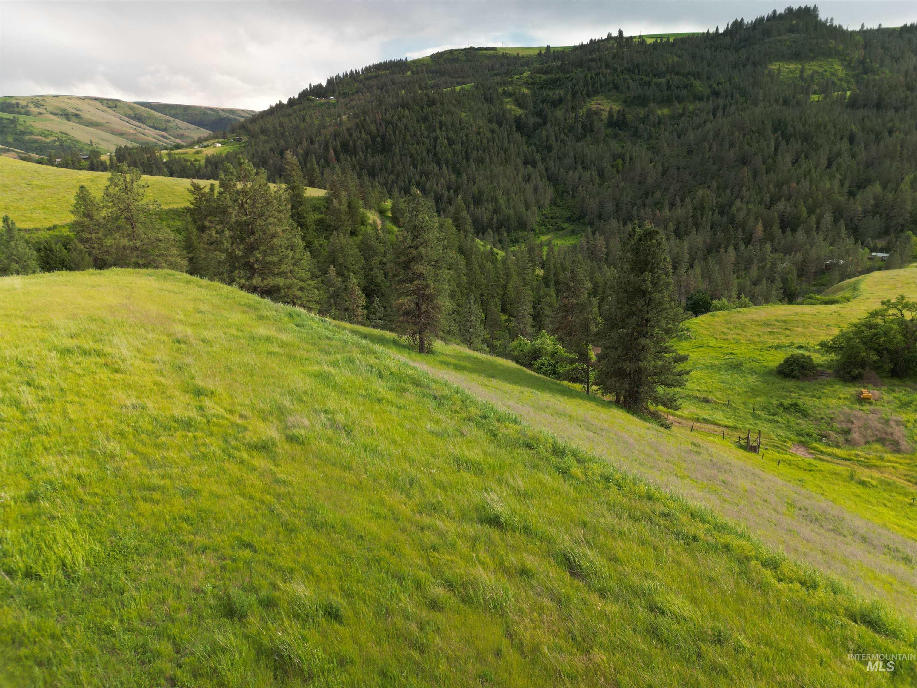 000 American Ridge Rd (Parcel 5), Kendrick, Idaho 83537, Land For Sale, Price $369,000,MLS 98988566