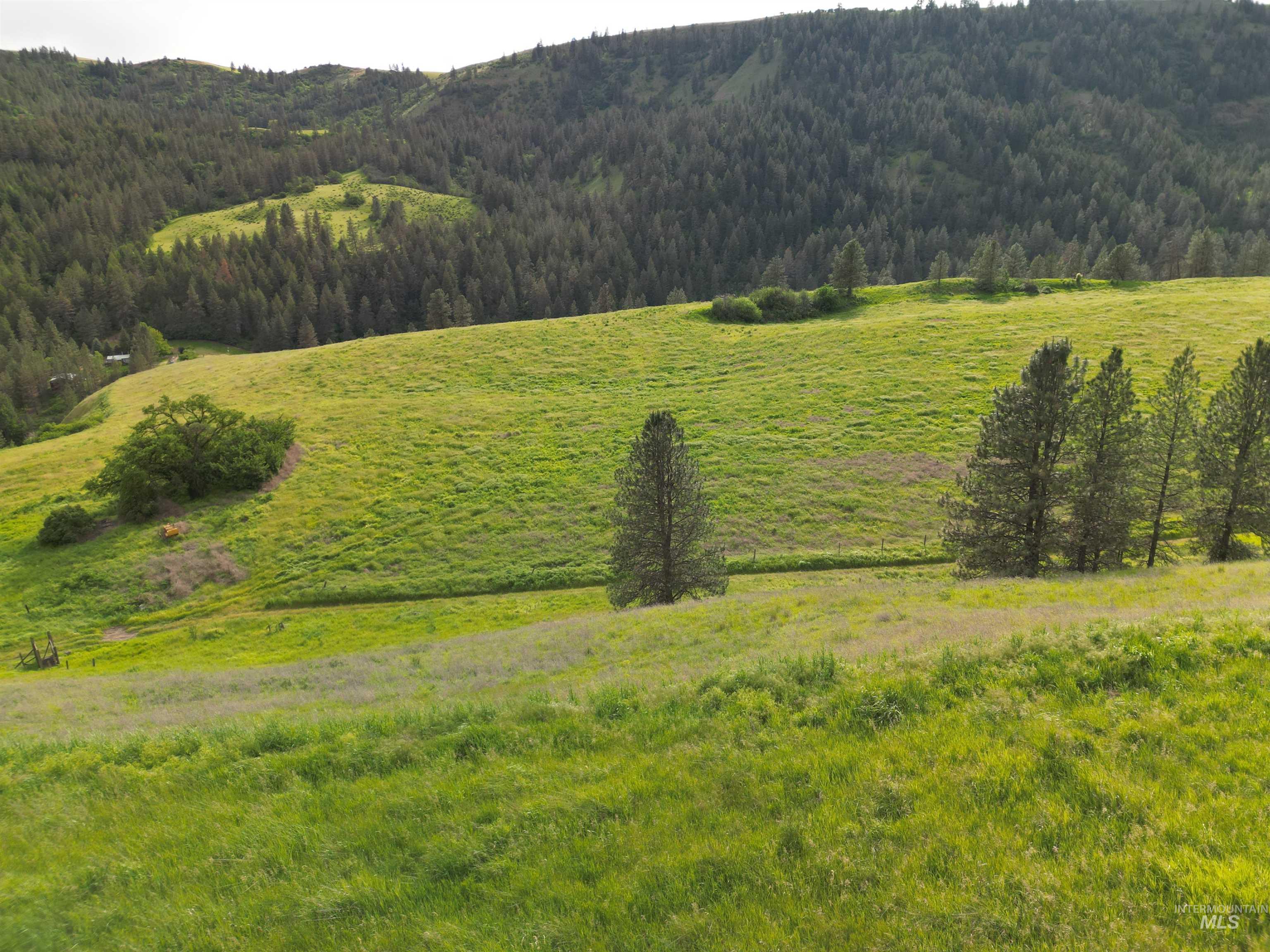 000 American Ridge Rd (Parcel 5), Kendrick, Idaho 83537, Land For Sale, Price $369,000,MLS 98988566