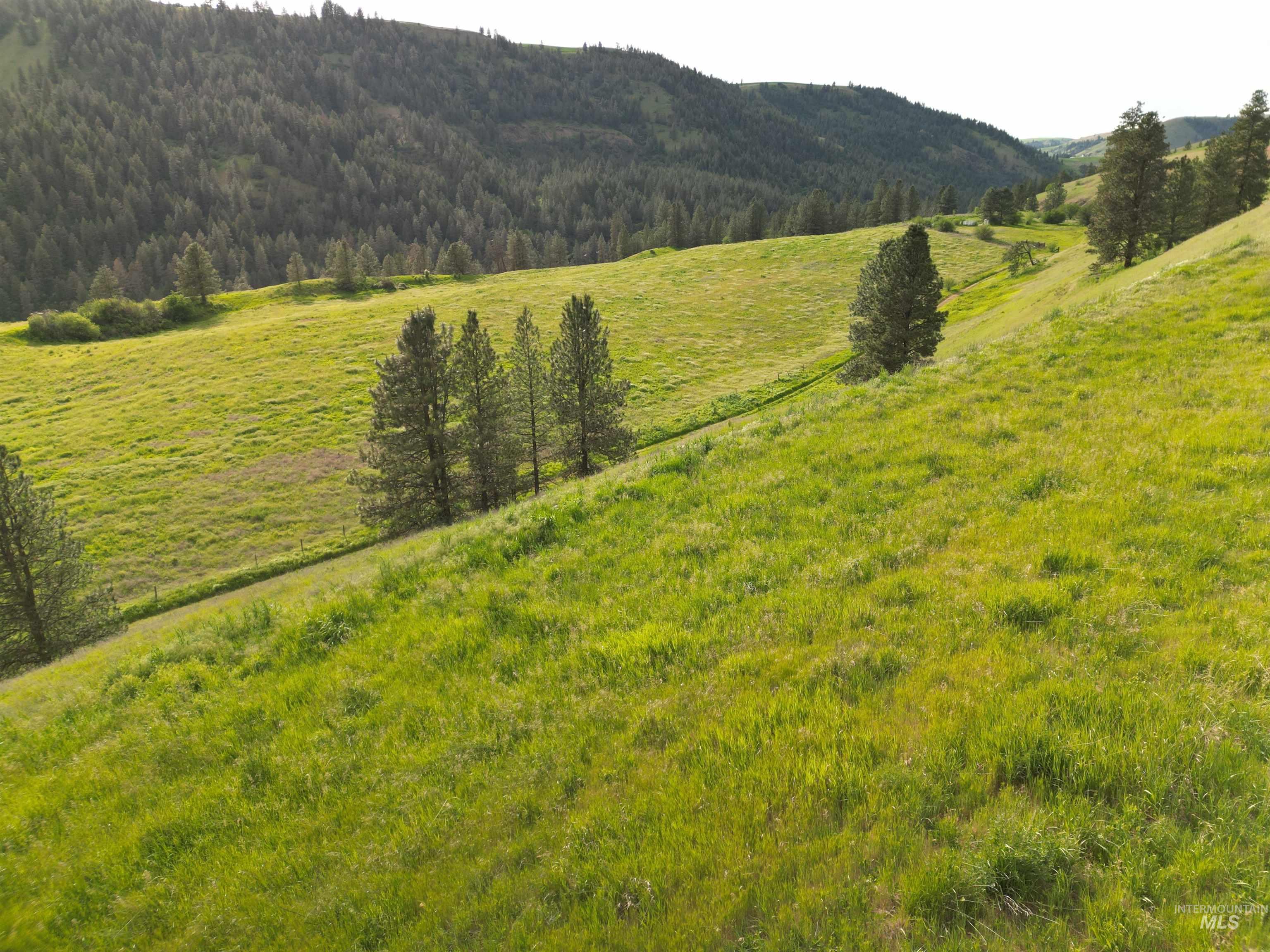 000 American Ridge Rd (Parcel 5), Kendrick, Idaho 83537, Land For Sale, Price $369,000,MLS 98988566