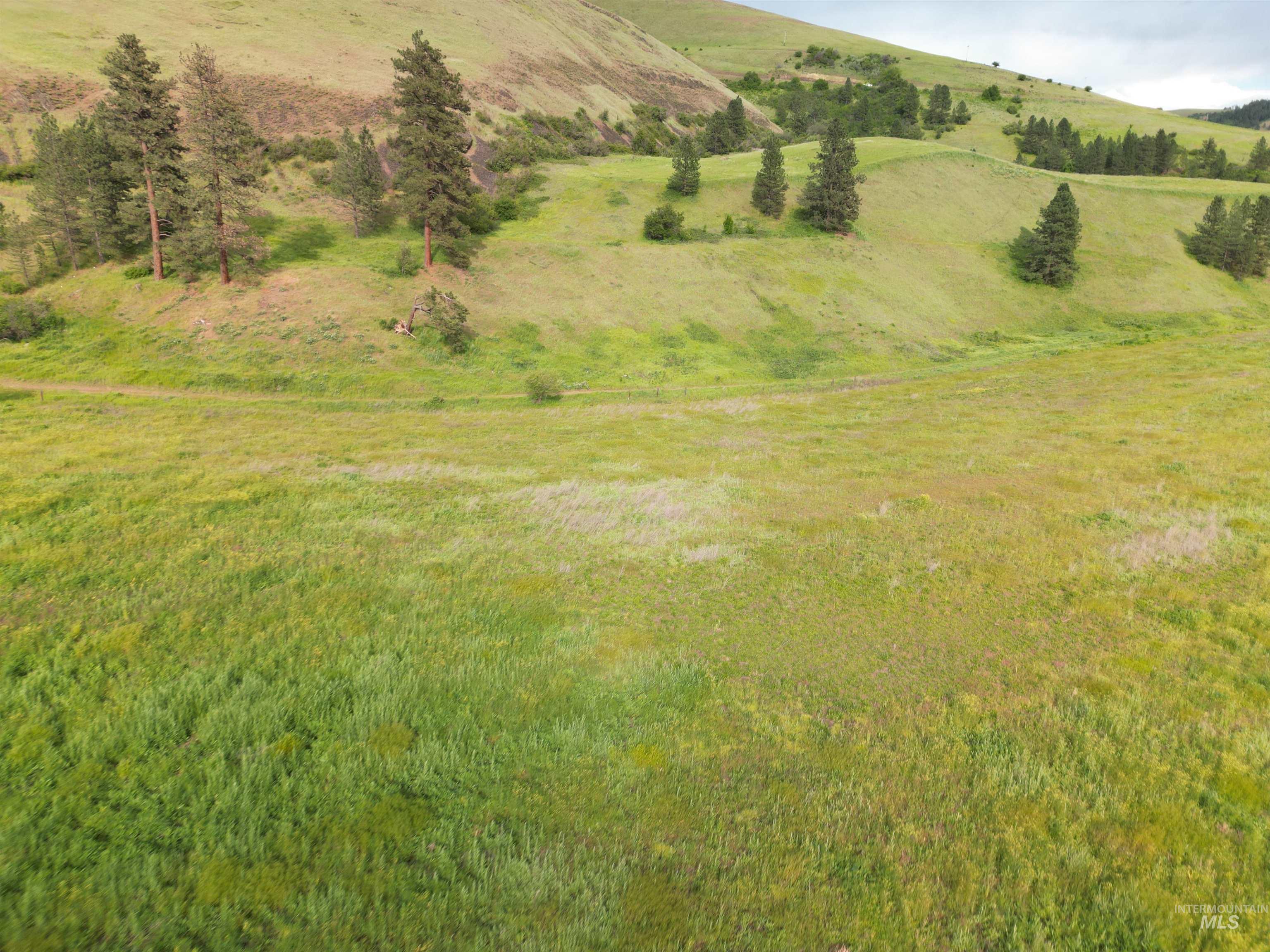 000 American Ridge Rd (Parcel 5), Kendrick, Idaho 83537, Land For Sale, Price $369,000,MLS 98988566