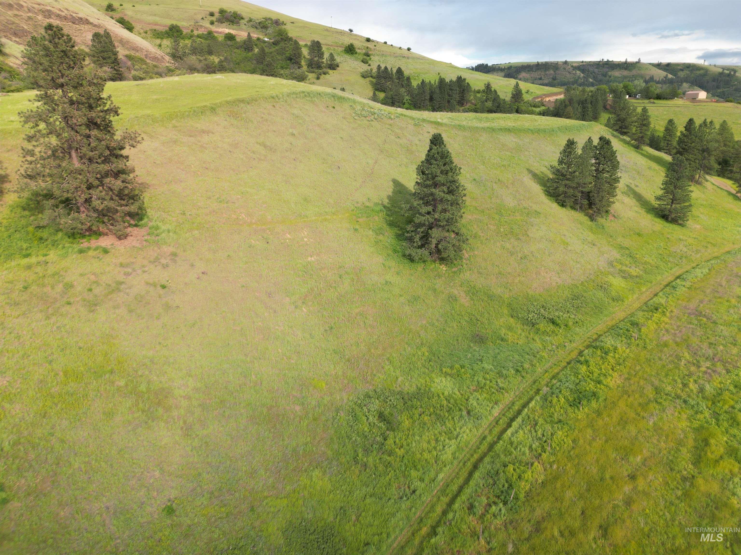000 American Ridge Rd (Parcel 5), Kendrick, Idaho 83537, Land For Sale, Price $369,000,MLS 98988566