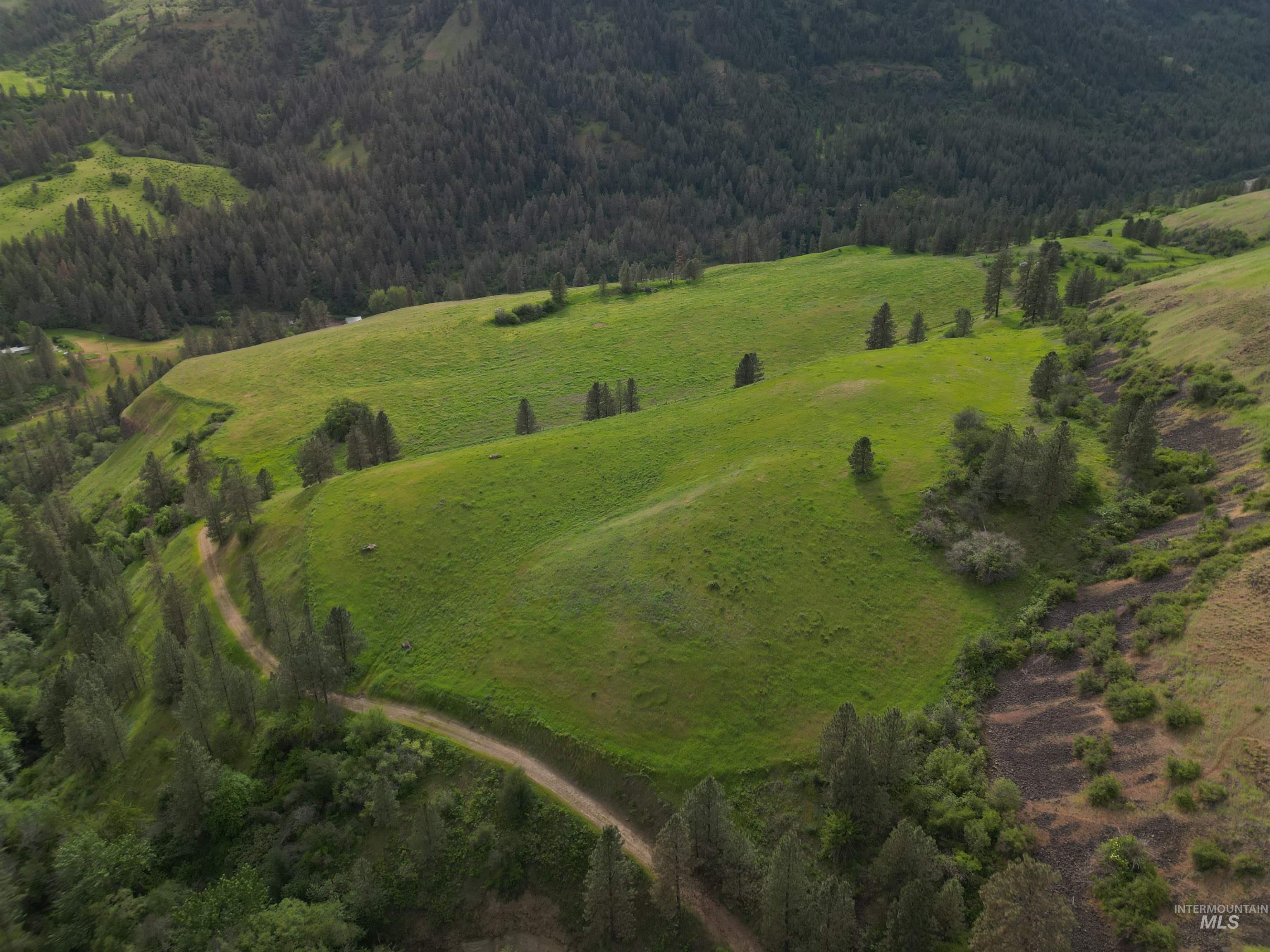 000 American Ridge Rd (Parcel 5), Kendrick, Idaho 83537, Land For Sale, Price $369,000,MLS 98988566