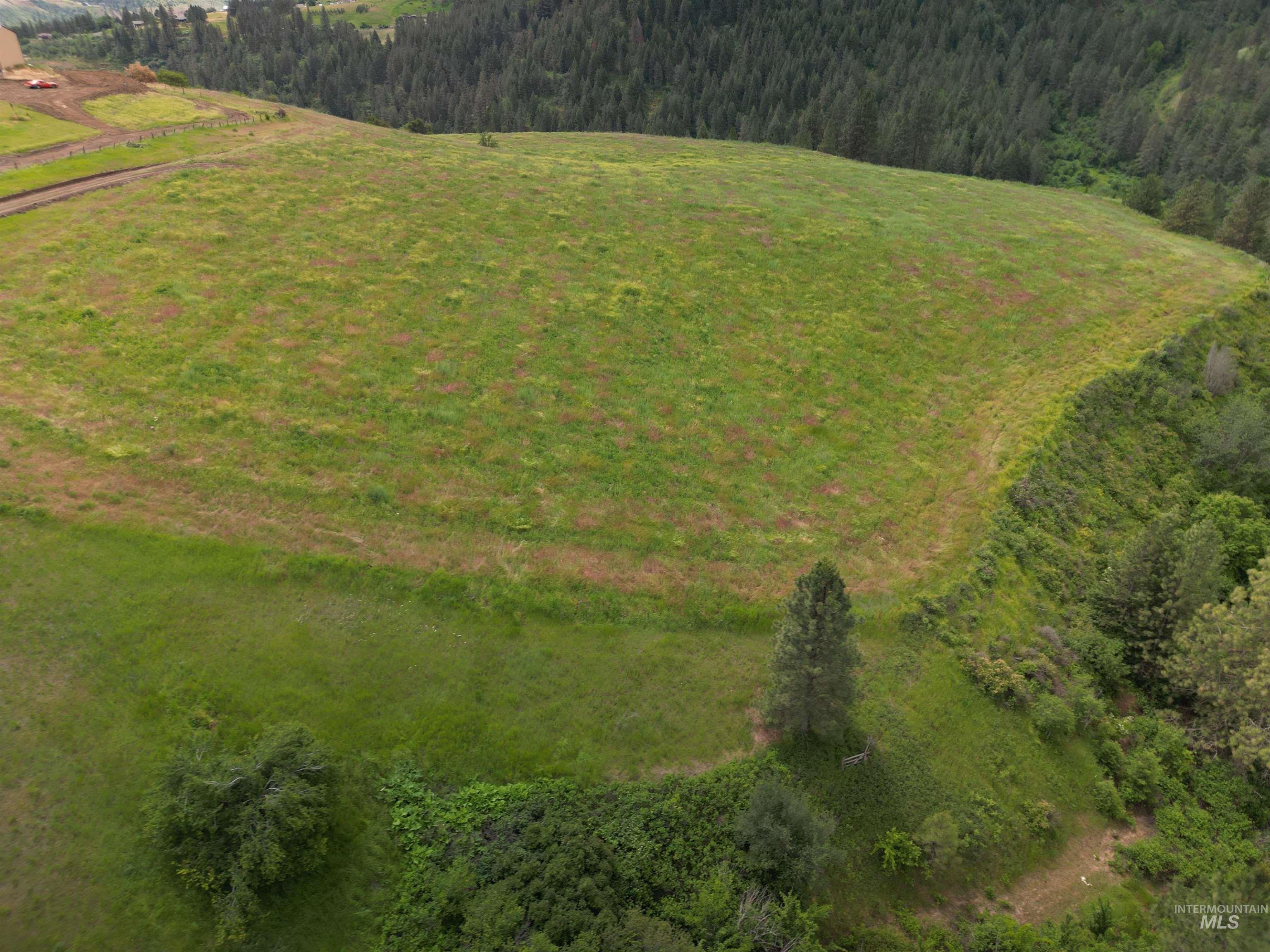 000 American Ridge Rd (Parcel 6), Kendrick, Idaho 83537, Land For Sale, Price $235,000,MLS 98988568