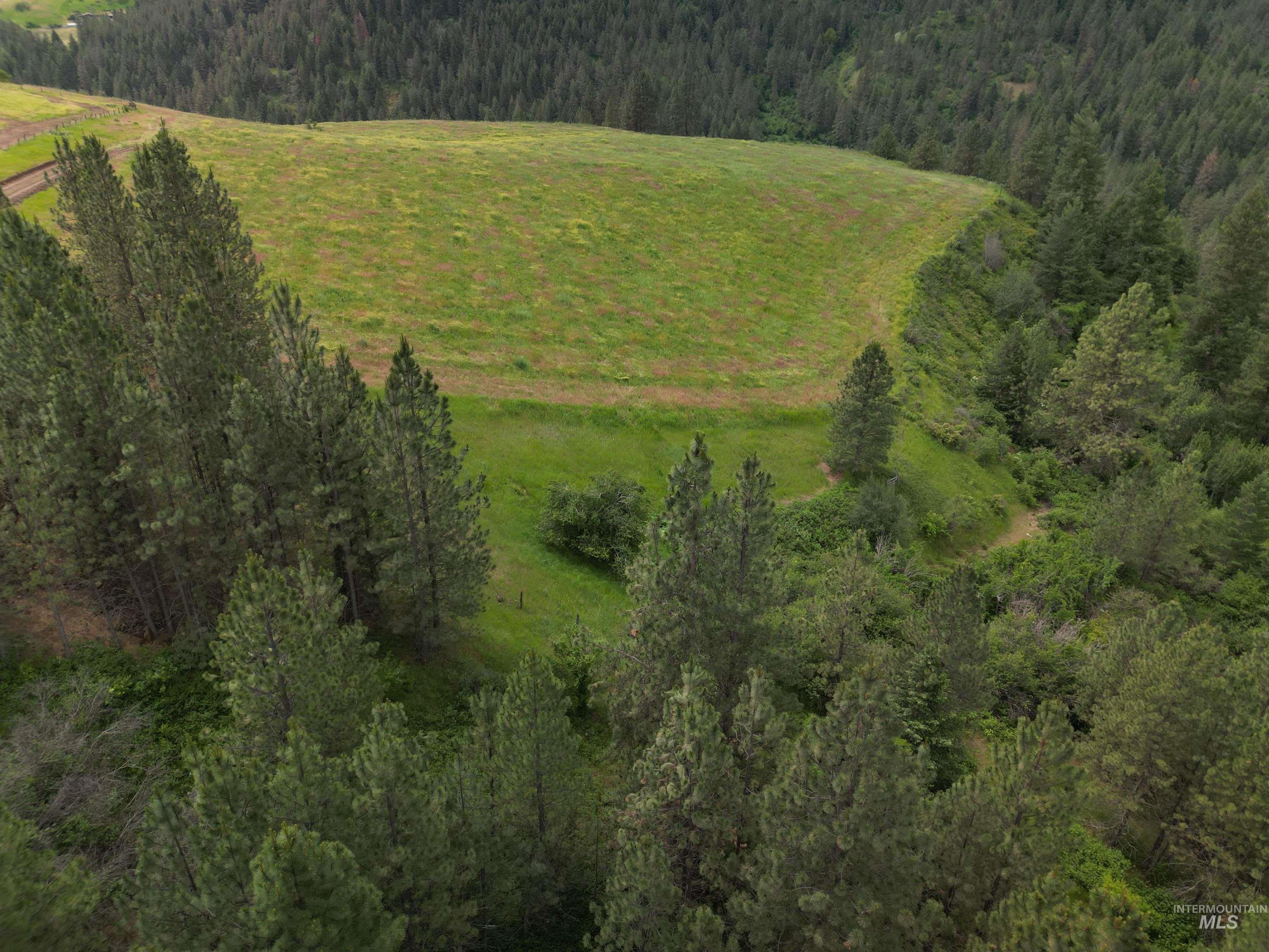 000 American Ridge Rd (Parcel 6), Kendrick, Idaho 83537, Land For Sale, Price $235,000,MLS 98988568
