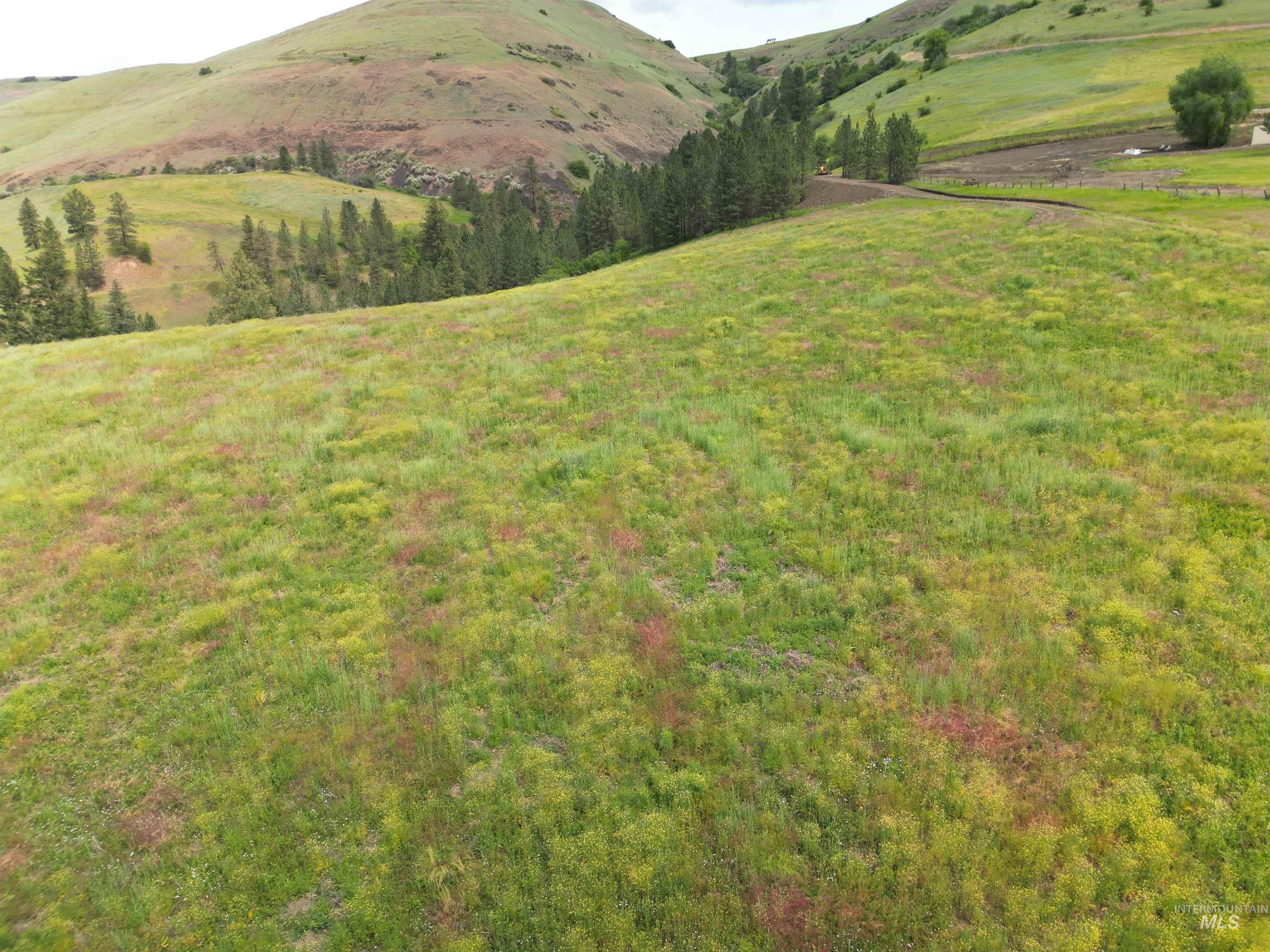 000 American Ridge Rd (Parcel 6), Kendrick, Idaho 83537, Land For Sale, Price $235,000,MLS 98988568