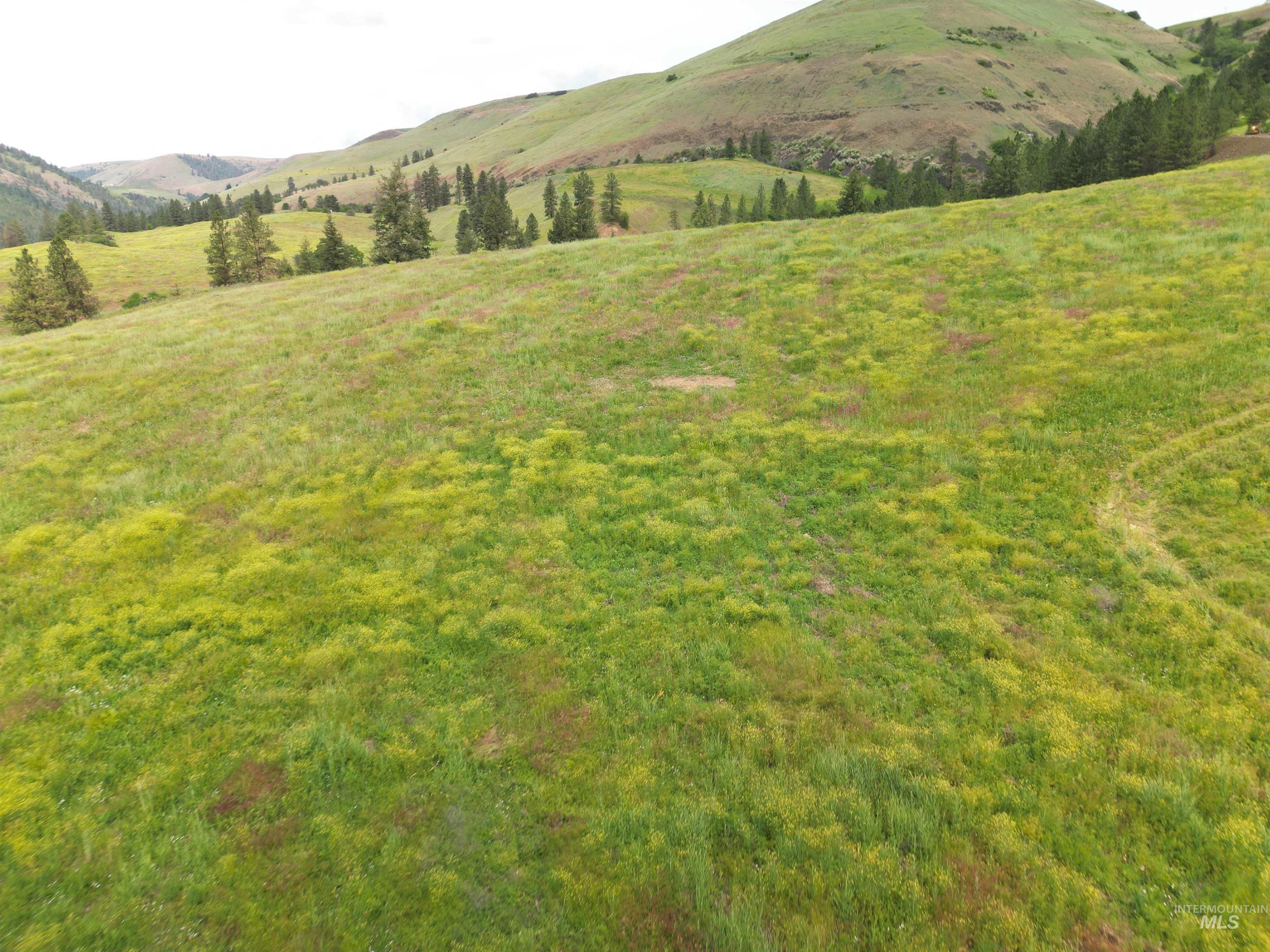 000 American Ridge Rd (Parcel 6), Kendrick, Idaho 83537, Land For Sale, Price $235,000,MLS 98988568