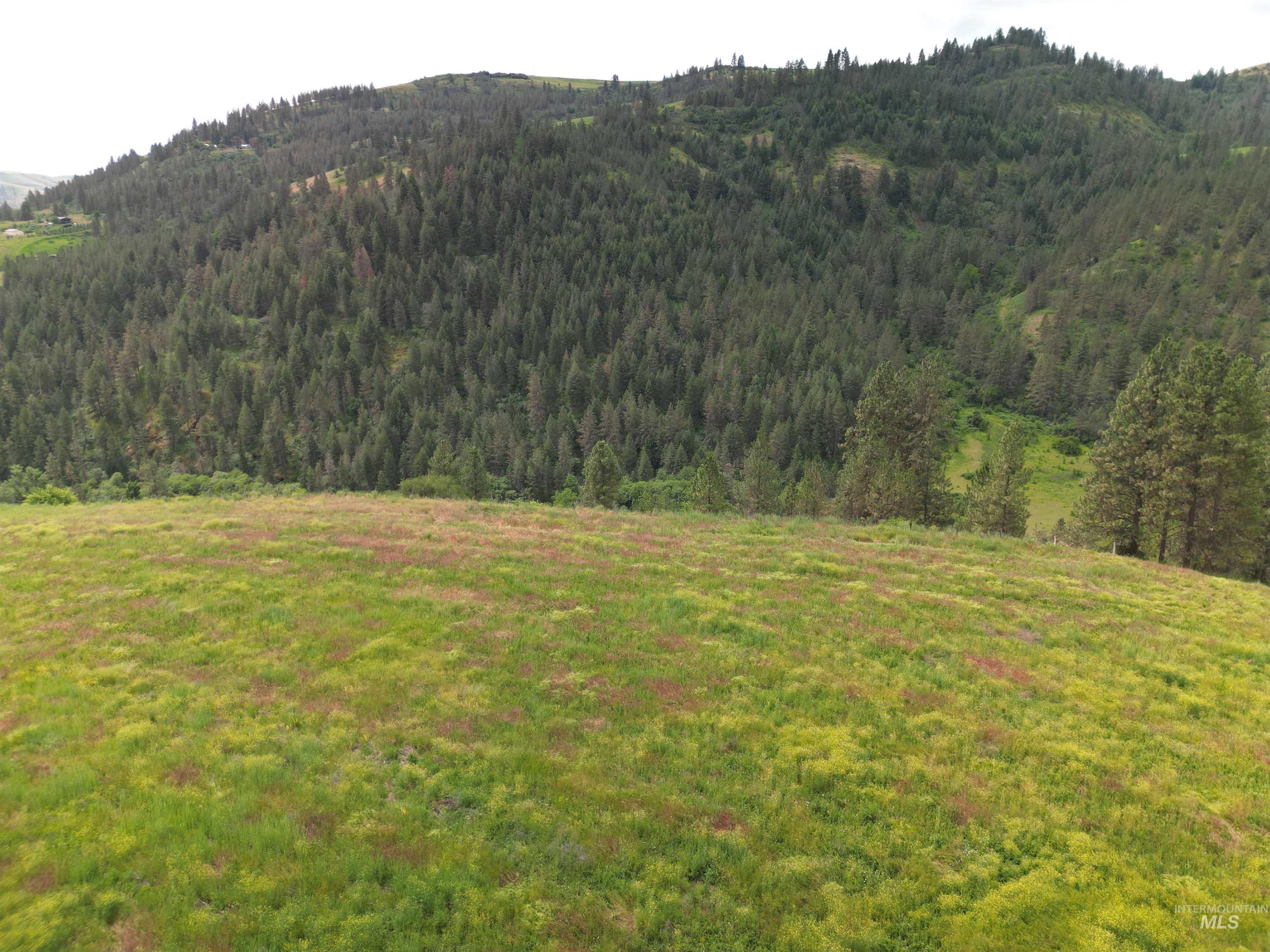 000 American Ridge Rd (Parcel 6), Kendrick, Idaho 83537, Land For Sale, Price $235,000,MLS 98988568