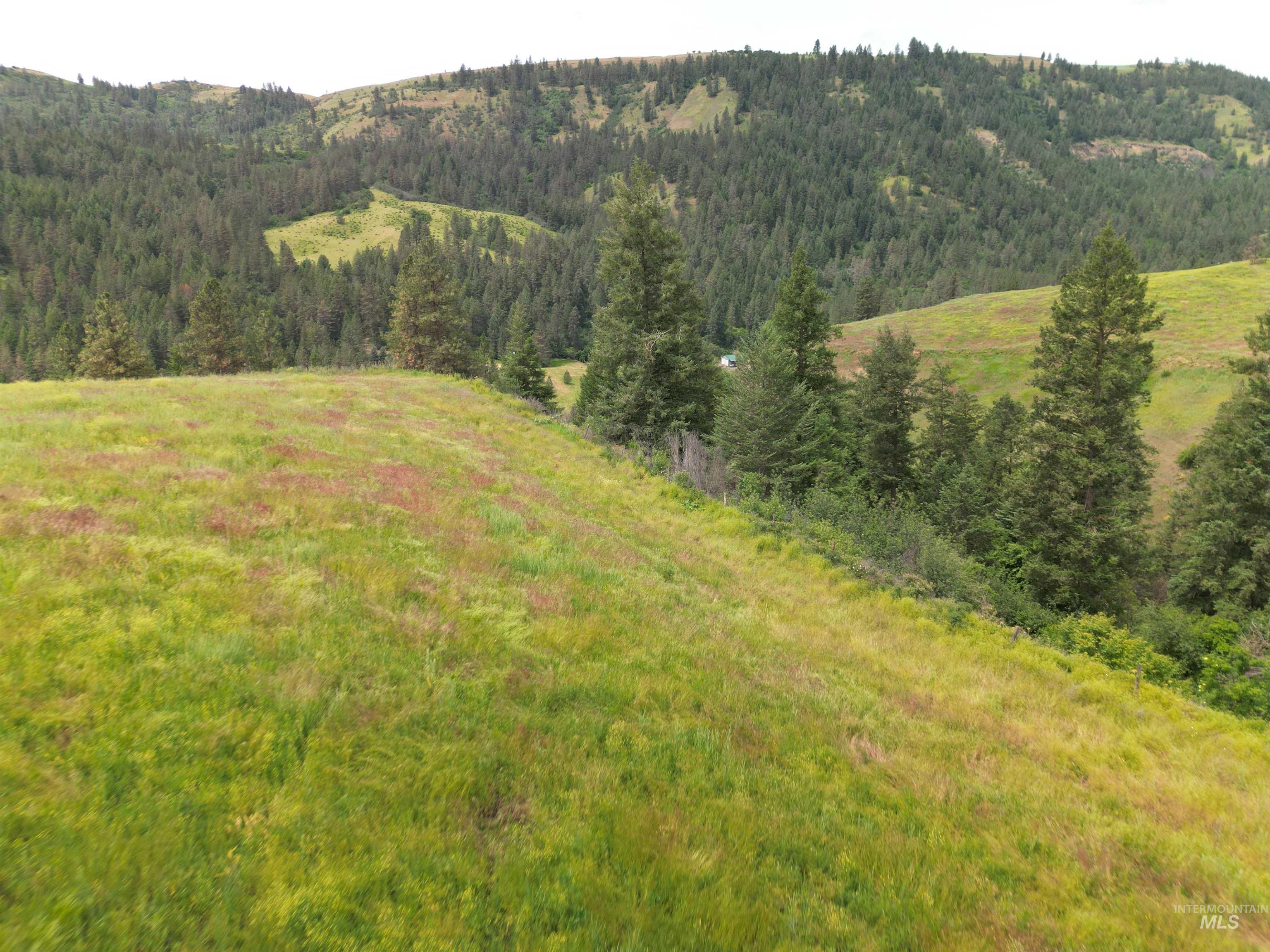 000 American Ridge Rd (Parcel 6), Kendrick, Idaho 83537, Land For Sale, Price $235,000,MLS 98988568