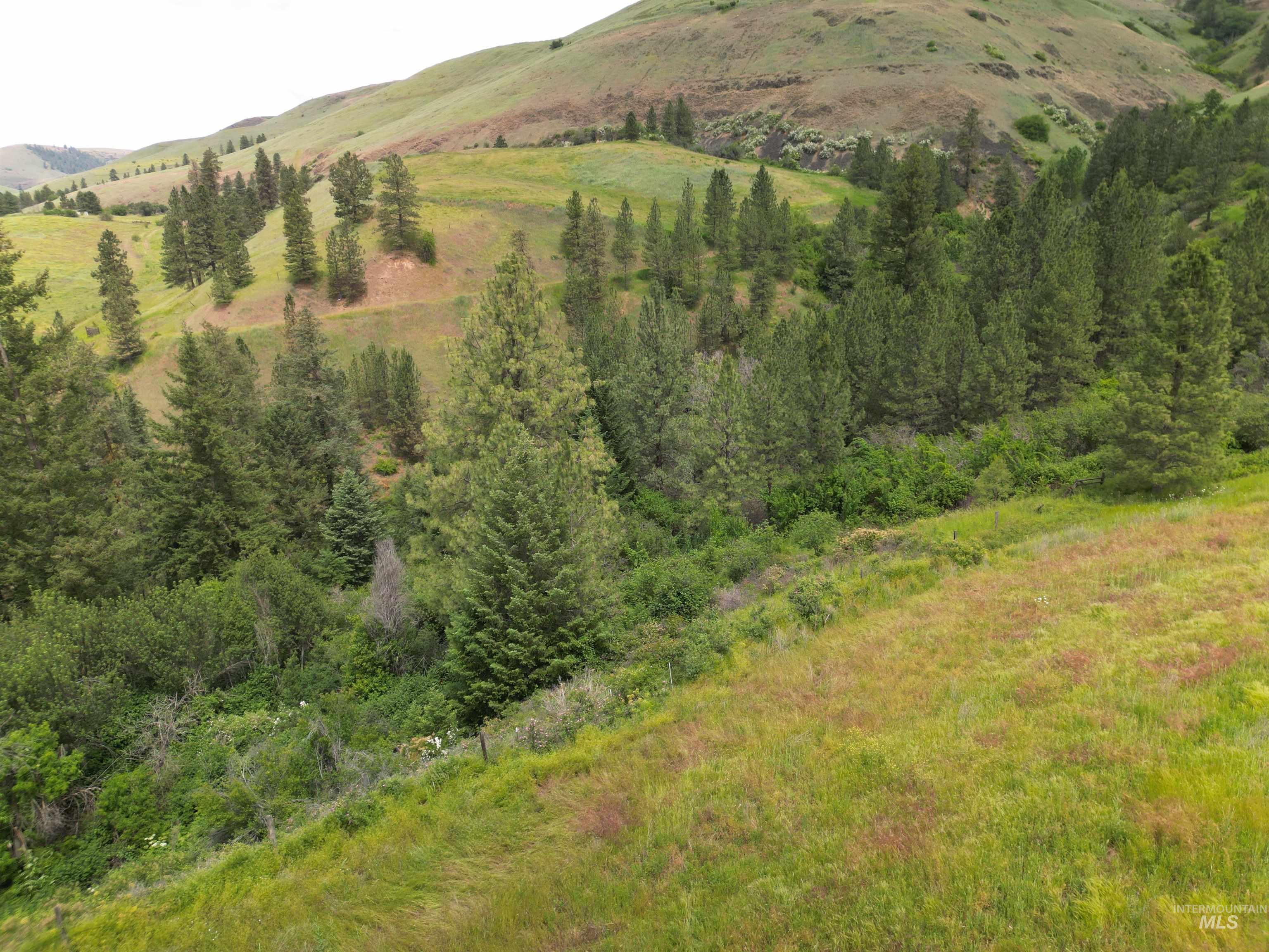 000 American Ridge Rd (Parcel 6), Kendrick, Idaho 83537, Land For Sale, Price $235,000,MLS 98988568