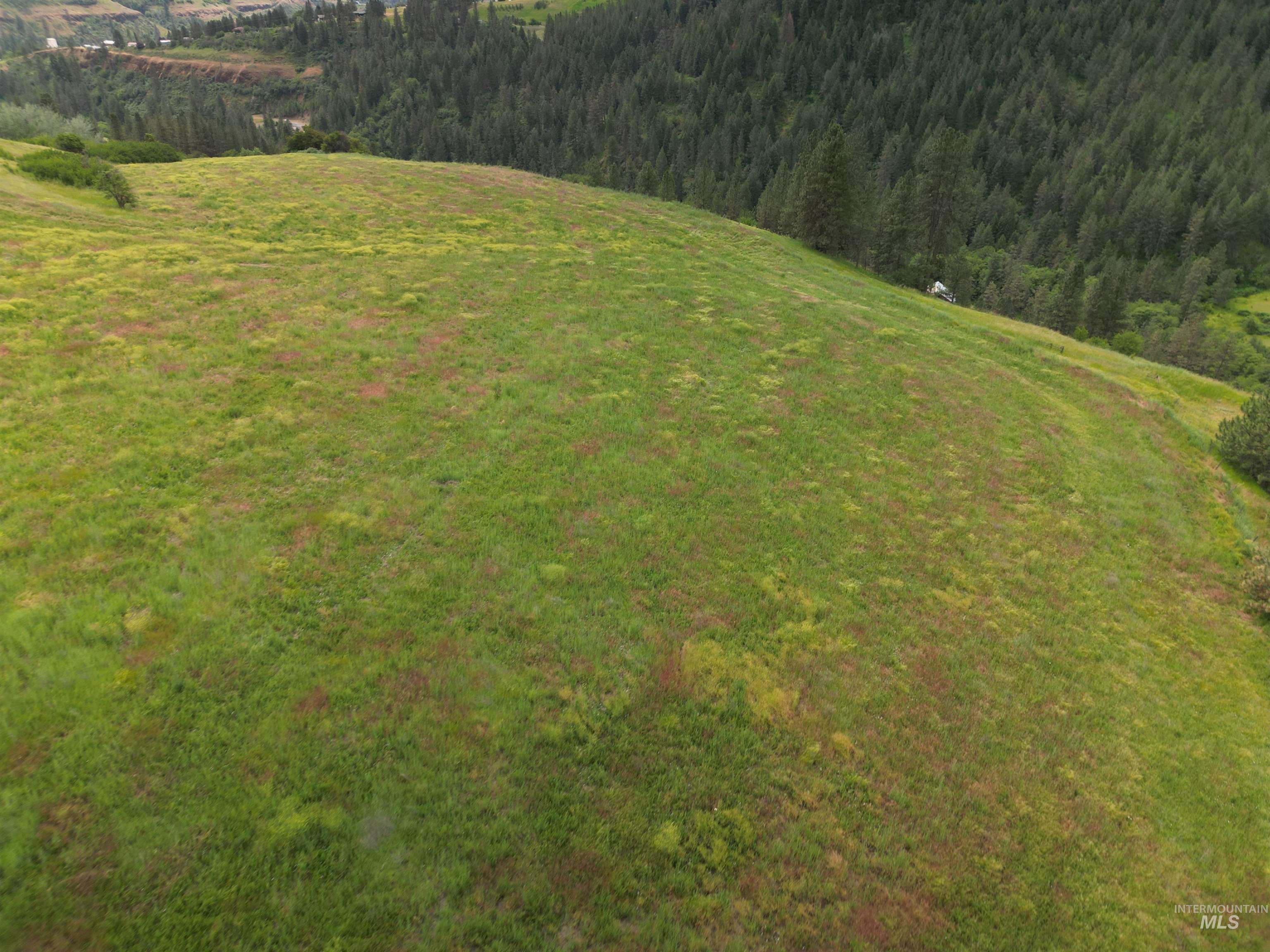 000 American Ridge Rd (Parcel 6), Kendrick, Idaho 83537, Land For Sale, Price $235,000,MLS 98988568