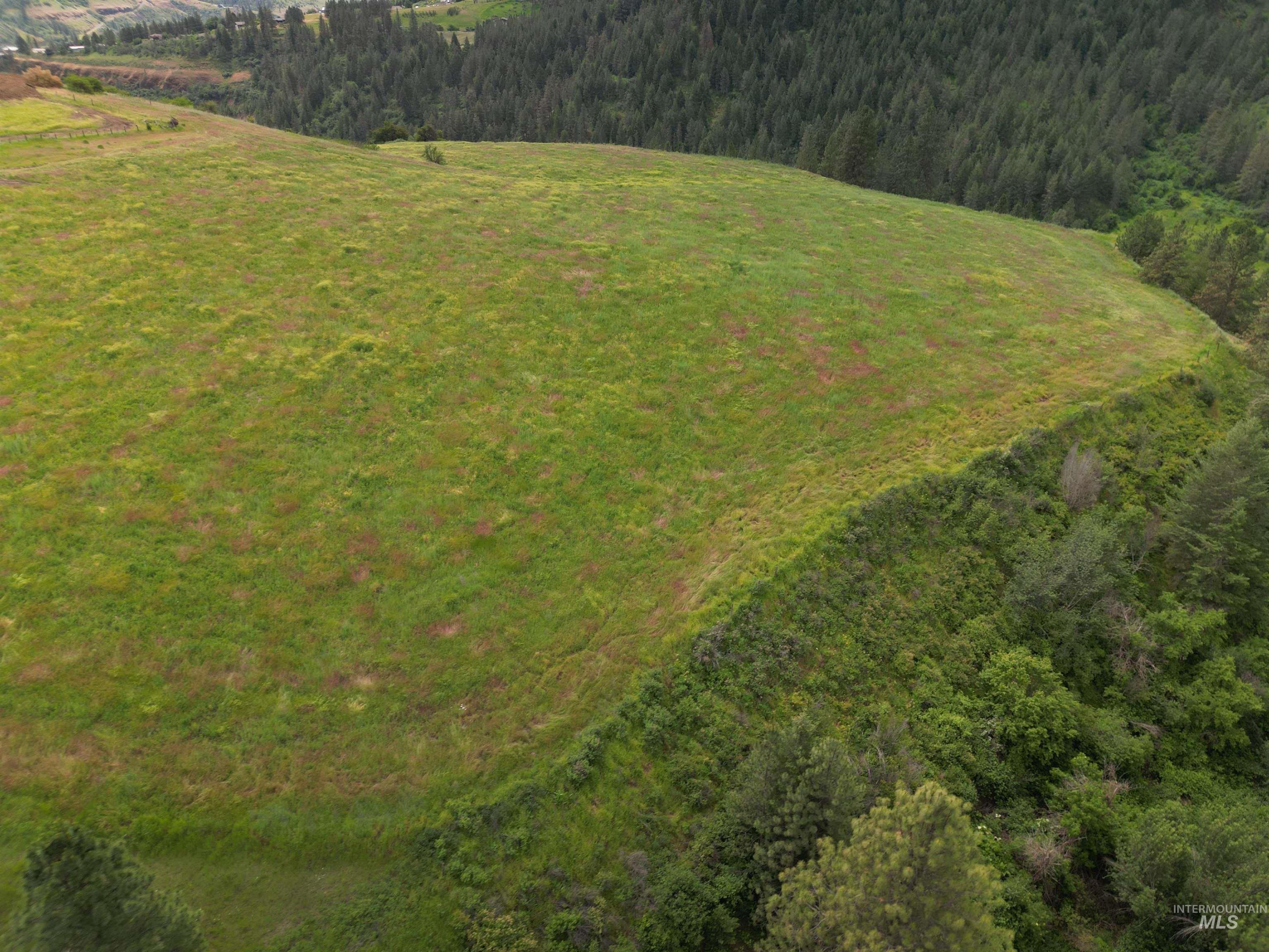 000 American Ridge Rd (Parcel 6), Kendrick, Idaho 83537, Land For Sale, Price $235,000,MLS 98988568
