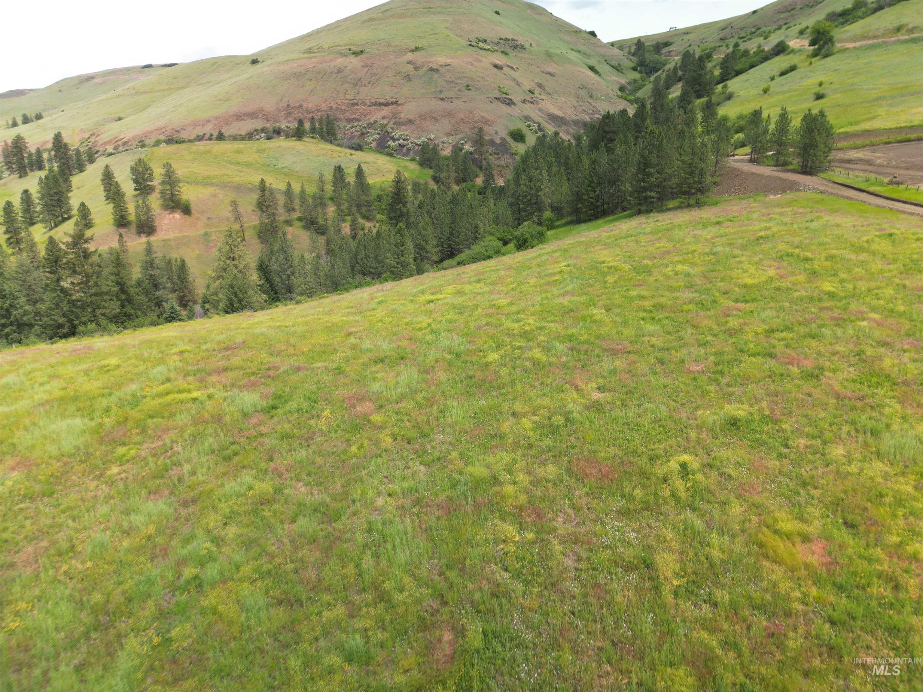 000 American Ridge Rd (Parcel 6), Kendrick, Idaho 83537, Land For Sale, Price $235,000,MLS 98988568