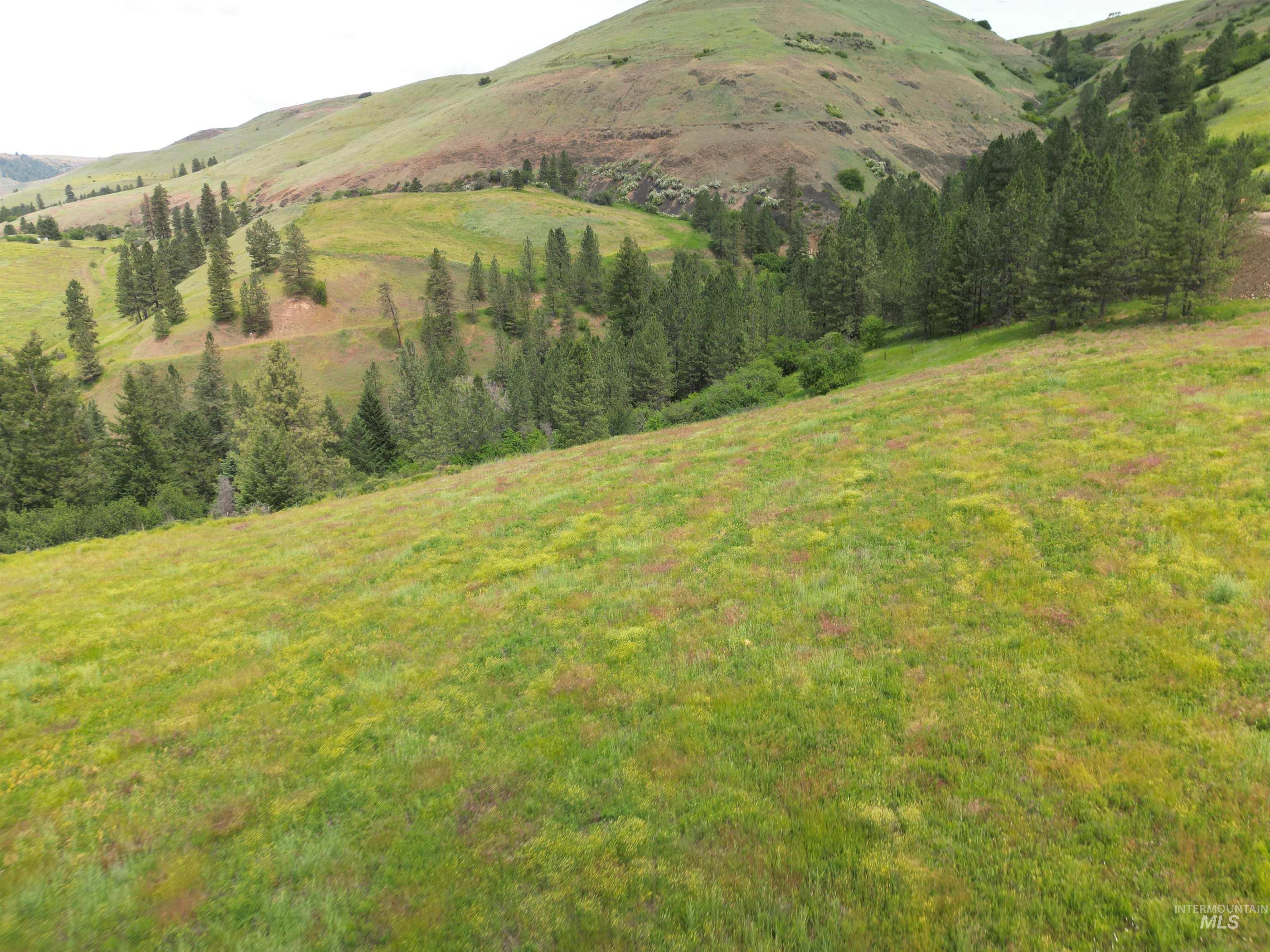 000 American Ridge Rd (Parcel 6), Kendrick, Idaho 83537, Land For Sale, Price $235,000,MLS 98988568