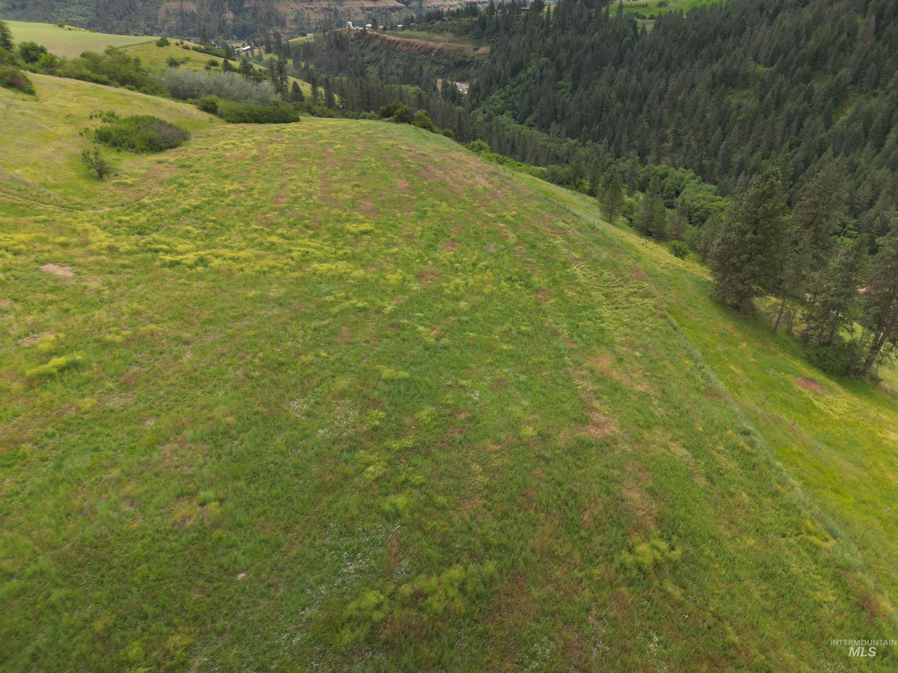 000 American Ridge Rd (Parcel 7), Kendrick, Idaho 83537, Land For Sale, Price $215,000,MLS 98988569