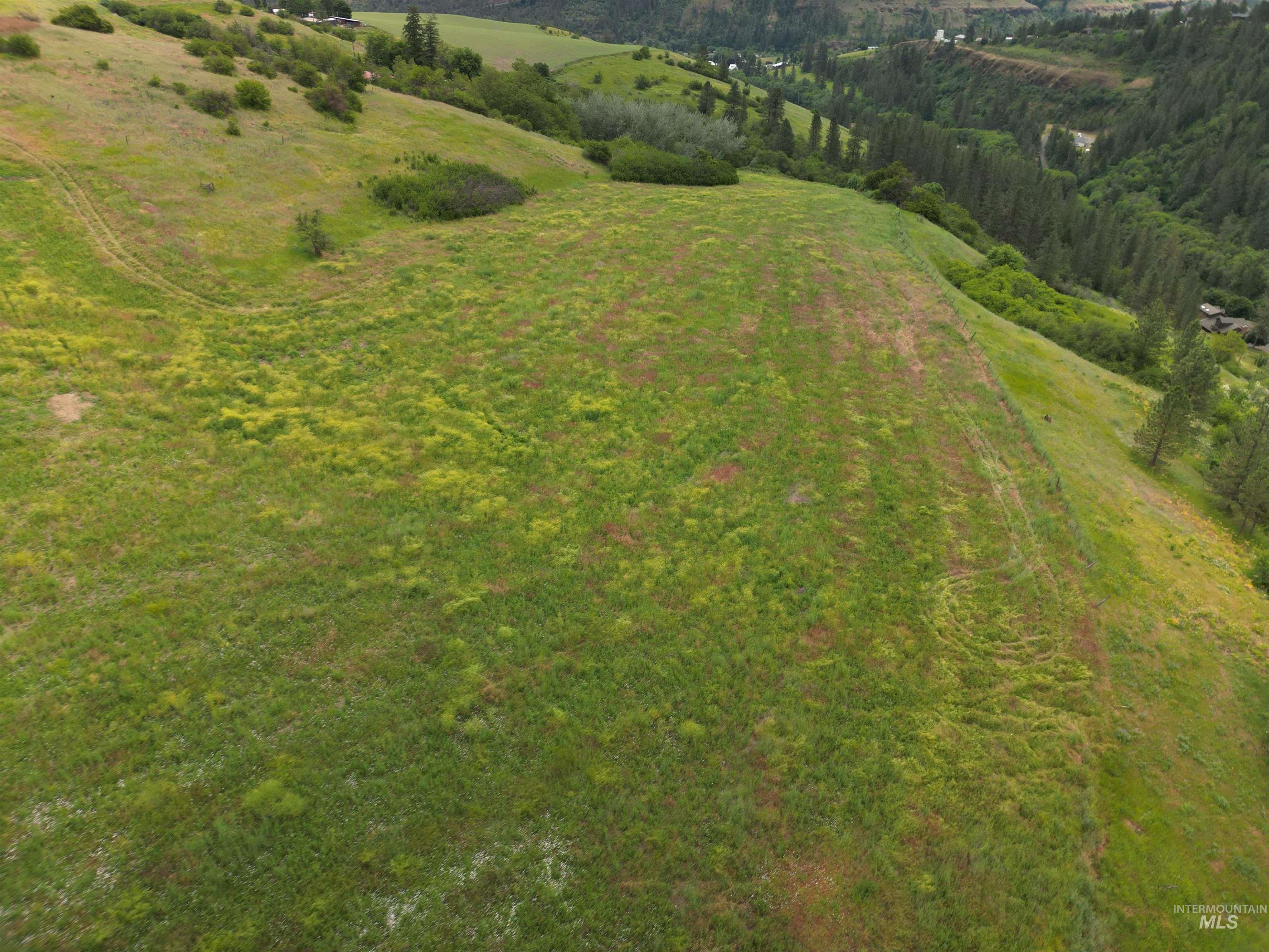 000 American Ridge Rd (Parcel 7), Kendrick, Idaho 83537, Land For Sale, Price $215,000,MLS 98988569