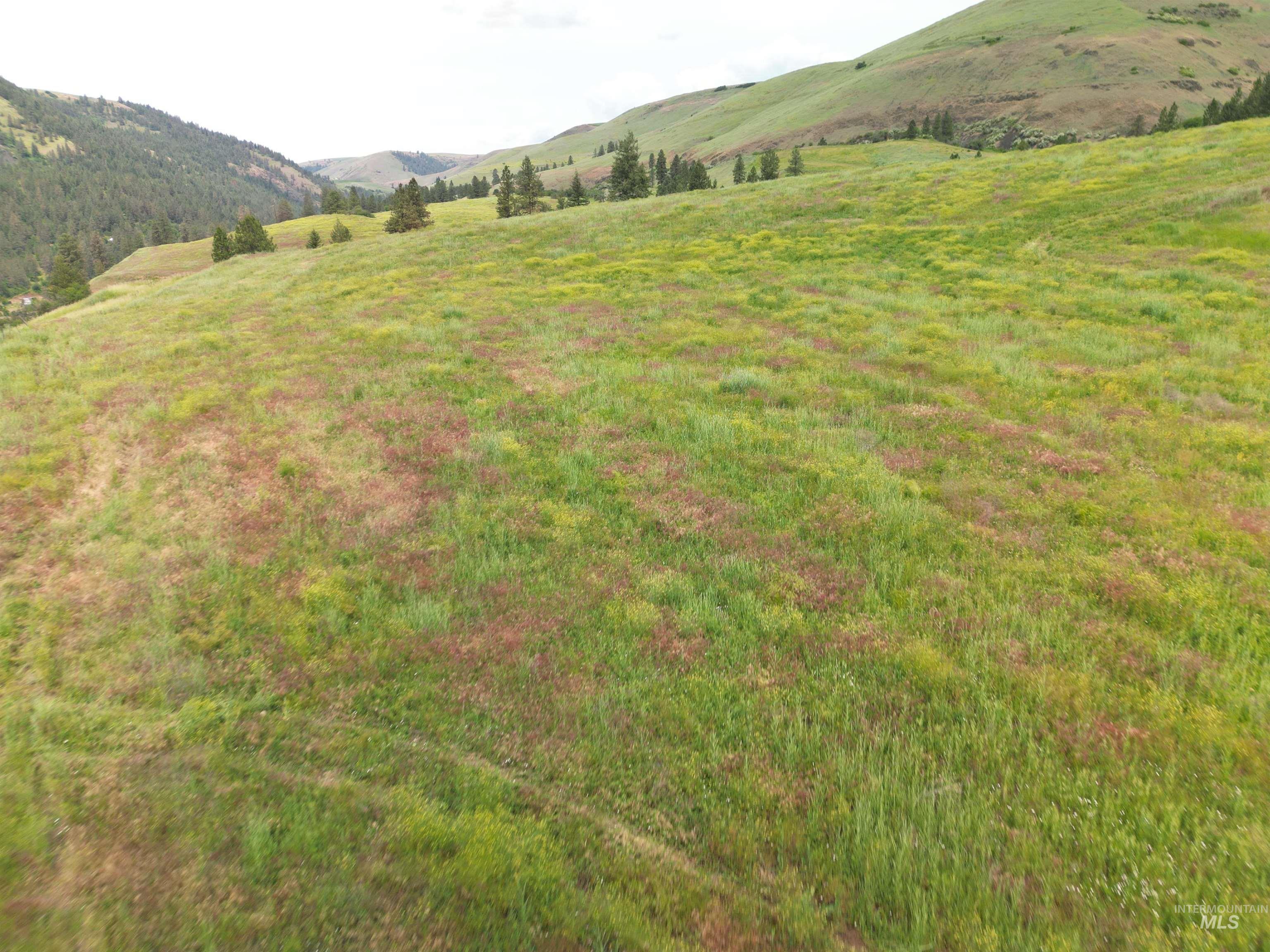 000 American Ridge Rd (Parcel 7), Kendrick, Idaho 83537, Land For Sale, Price $215,000,MLS 98988569