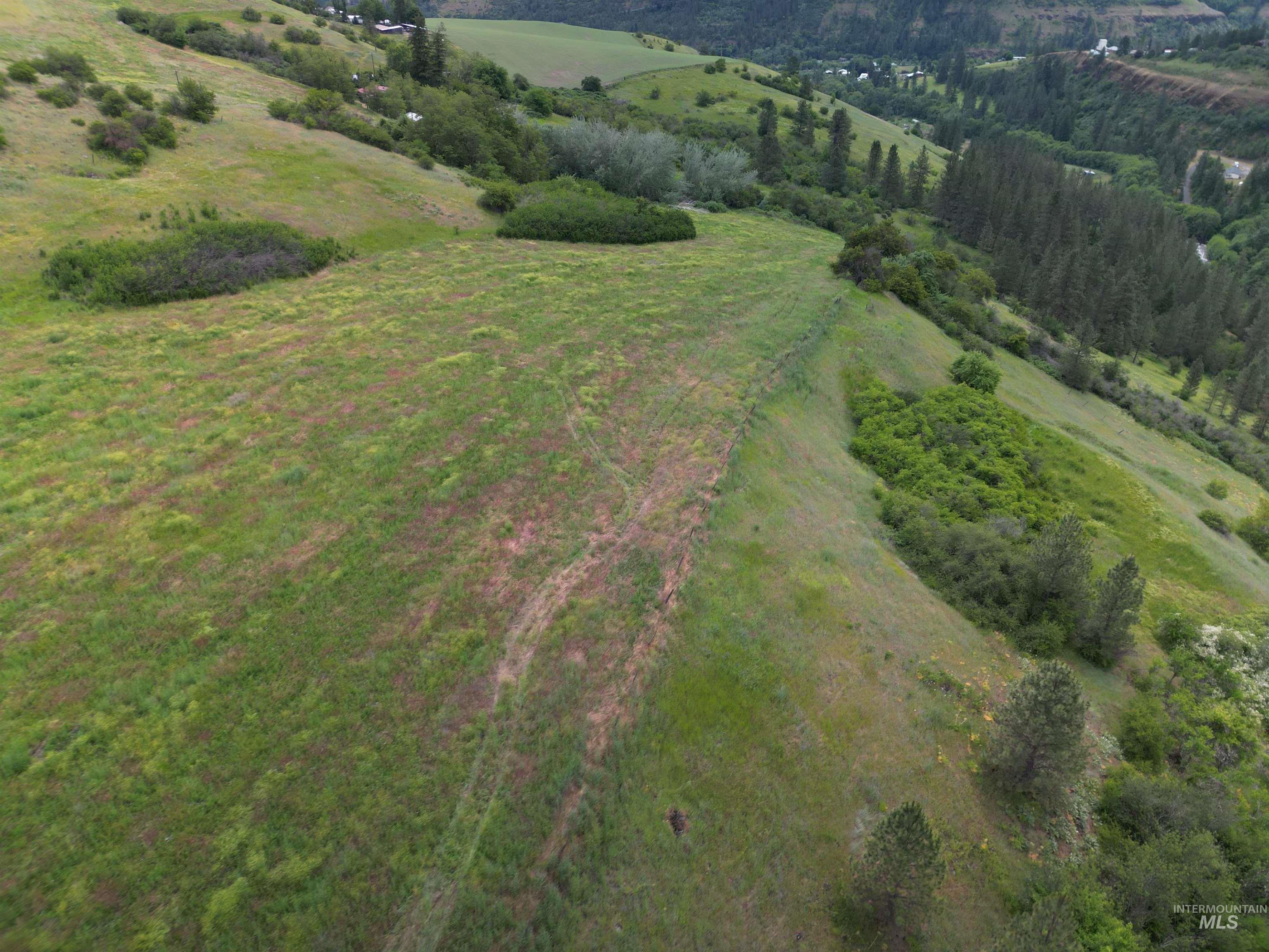 000 American Ridge Rd (Parcel 7), Kendrick, Idaho 83537, Land For Sale, Price $215,000,MLS 98988569