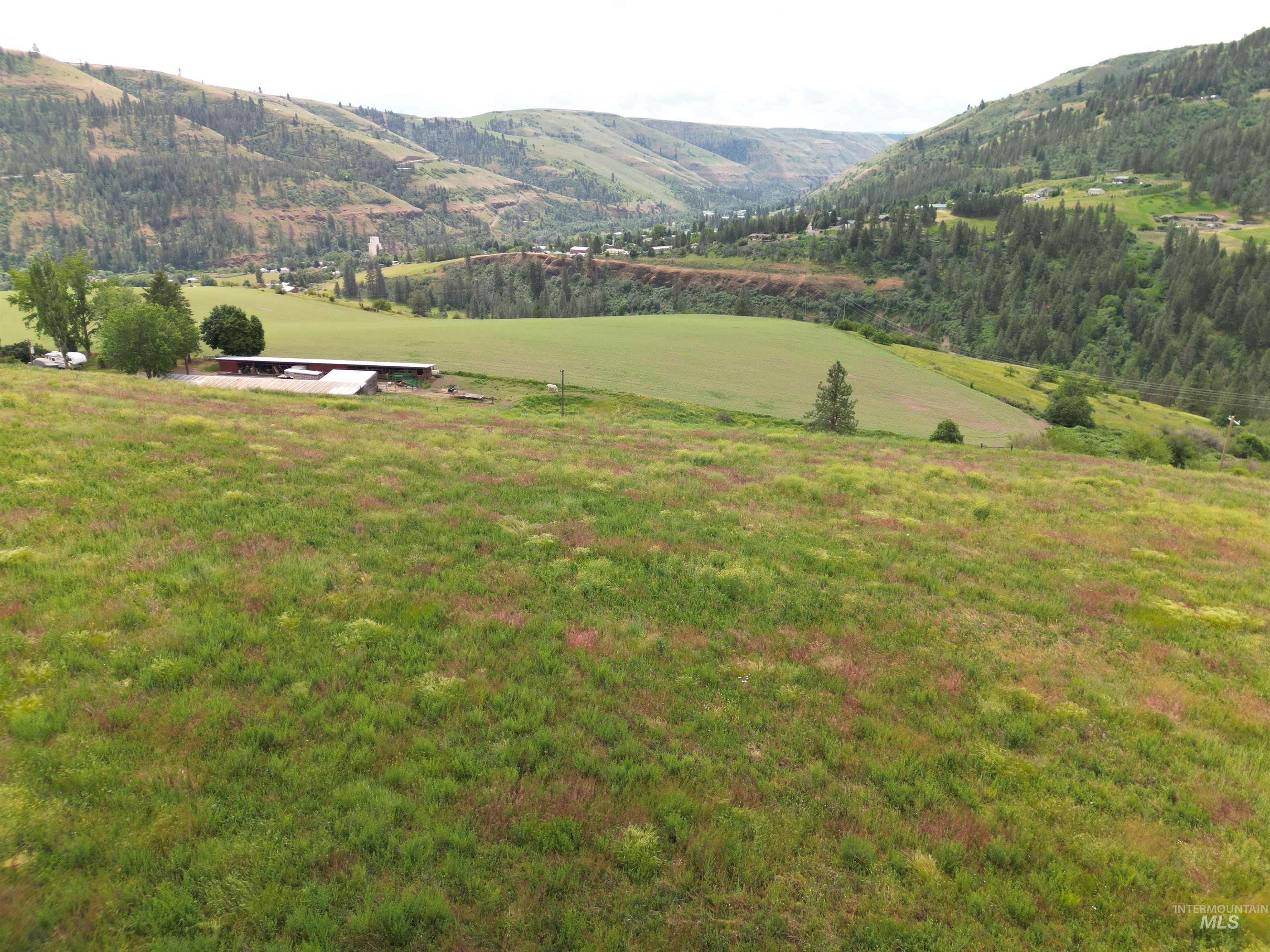 000 American Ridge Rd (Parcel 9), Kendrick, Idaho 83537, Land For Sale, Price $169,000,MLS 98988570