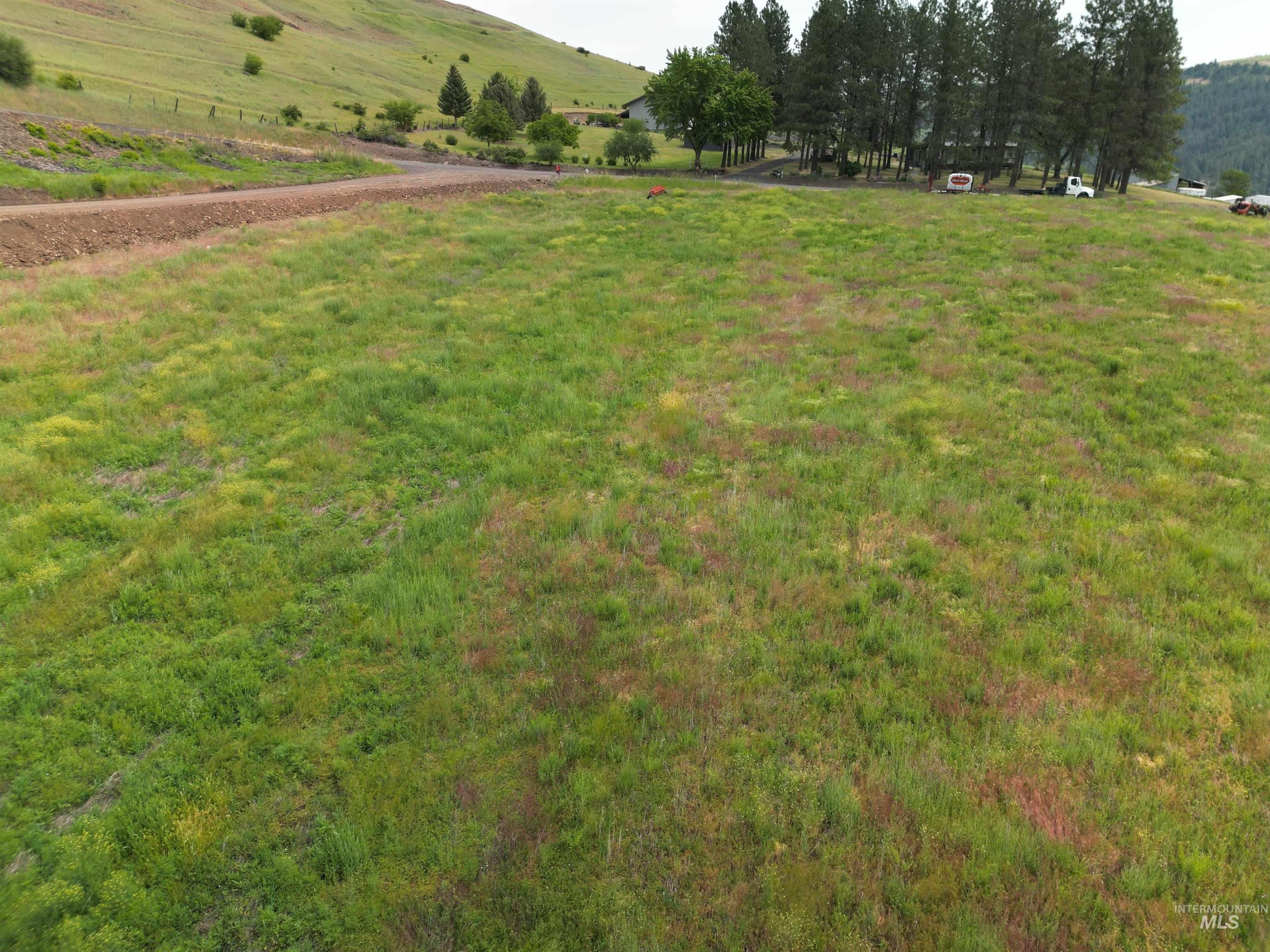 000 American Ridge Rd (Parcel 9), Kendrick, Idaho 83537, Land For Sale, Price $169,000,MLS 98988570
