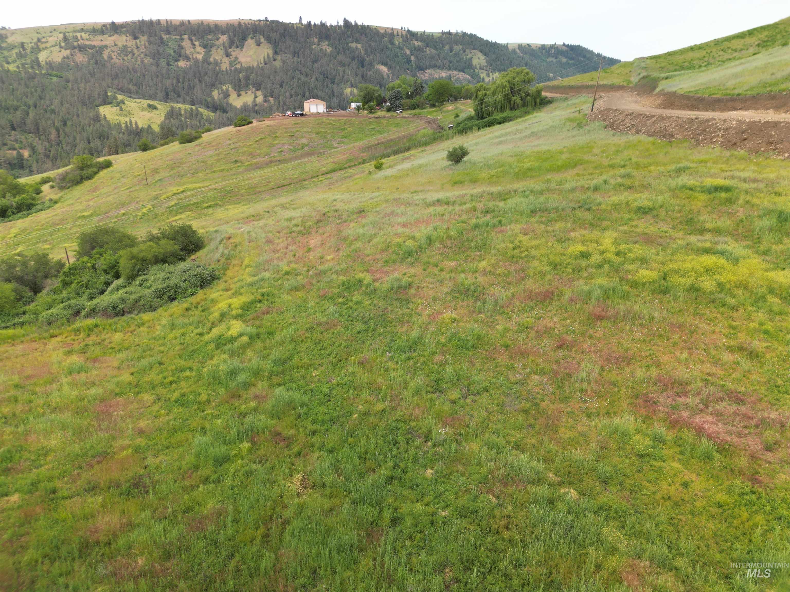 000 American Ridge Rd (Parcel 9), Kendrick, Idaho 83537, Land For Sale, Price $169,000,MLS 98988570
