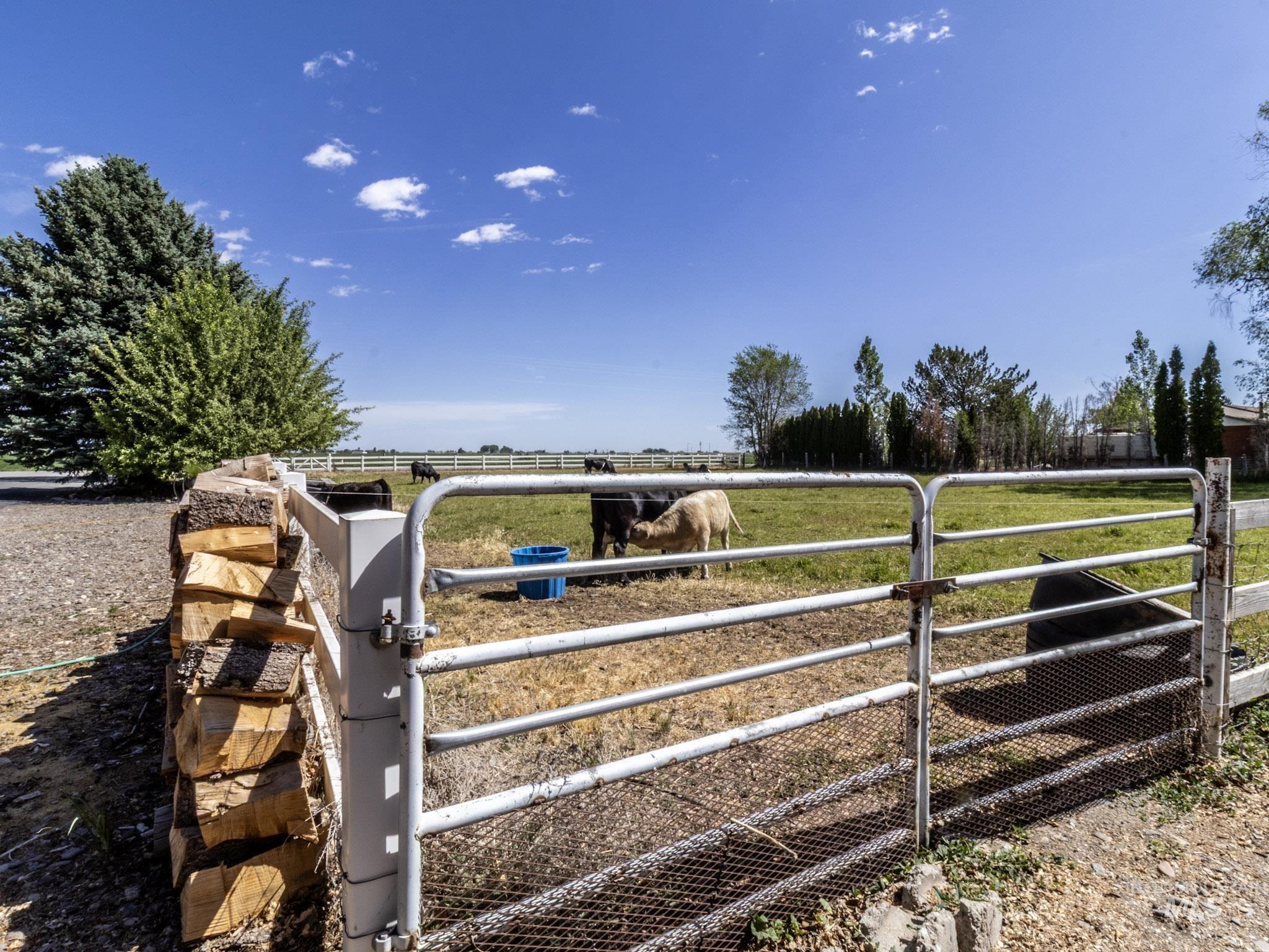 585 W Baseline Rd, Paul, Idaho 83347, 3 Bedrooms, 2 Bathrooms, Residential For Sale, Price $546,500,MLS 98988571