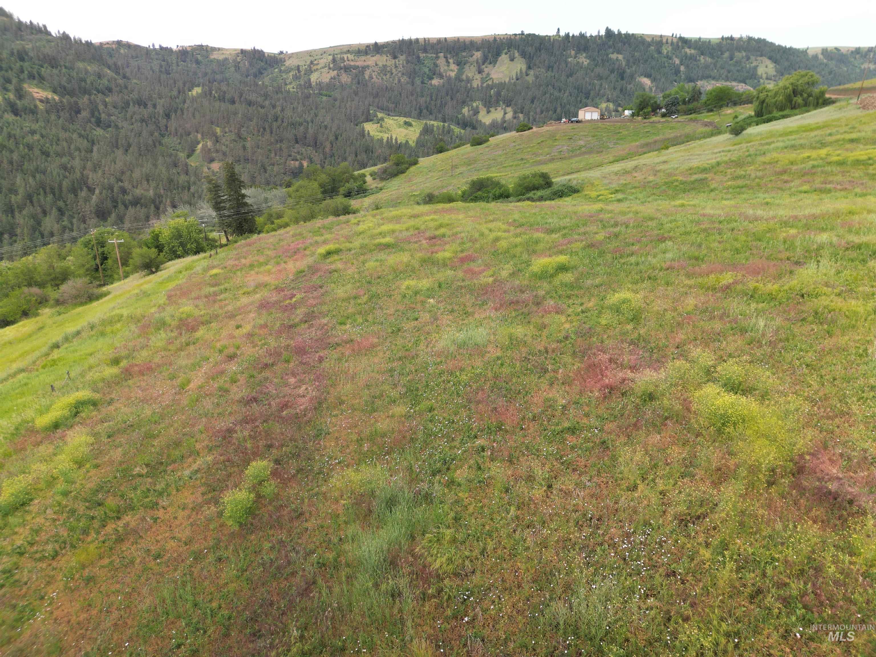 000 American Ridge Rd (Parcel 10), Kendrick, Idaho 83537, Land For Sale, Price $139,000,MLS 98988573