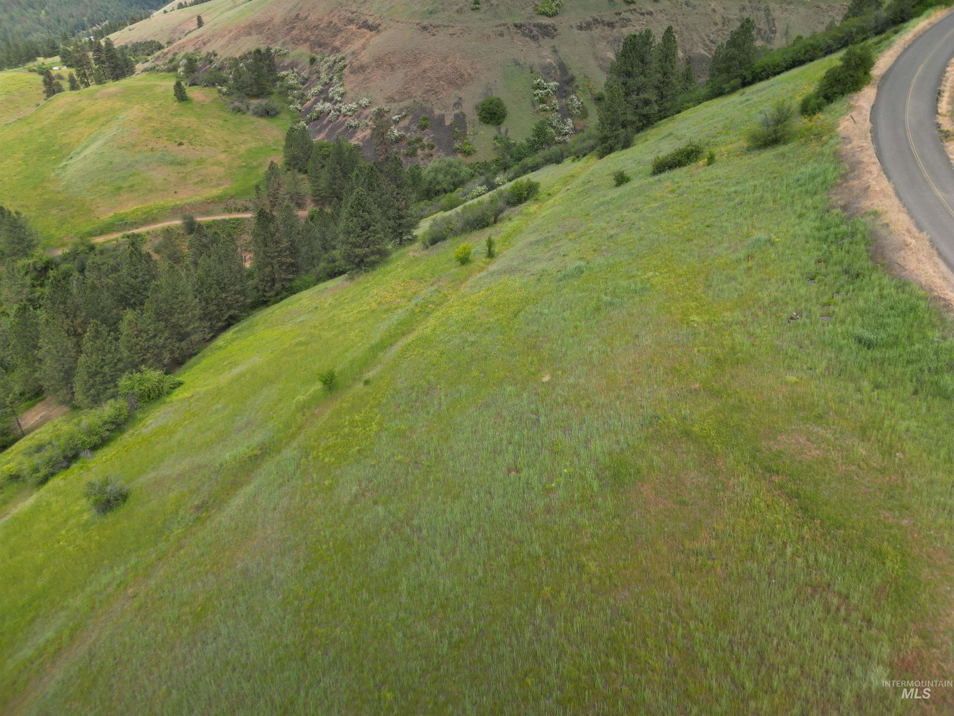 000 American Ridge Rd (Parcel 10), Kendrick, Idaho 83537, Land For Sale, Price $139,000,MLS 98988573