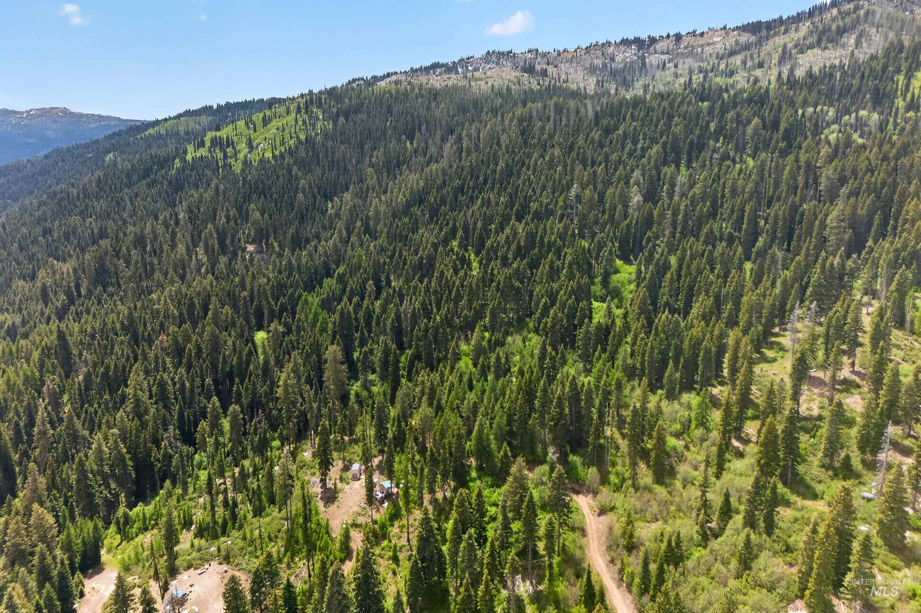 123 Arling Trail, Donnelly, Idaho 83615, Land For Sale, Price $275,000,MLS 98988574